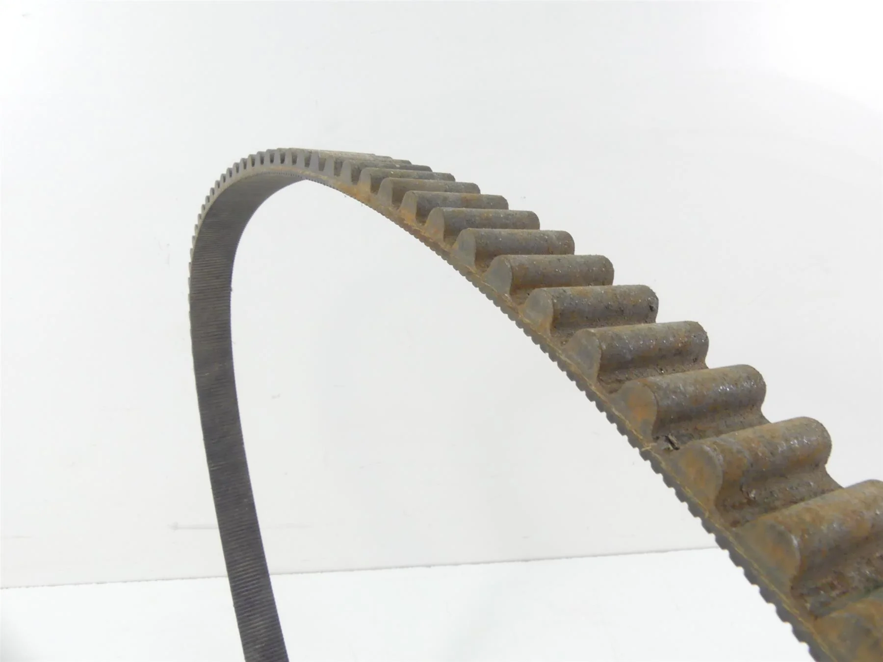 2002 Harley XL1200 Sportster Rear Drive Belt   128T 40022-91 - Image 6