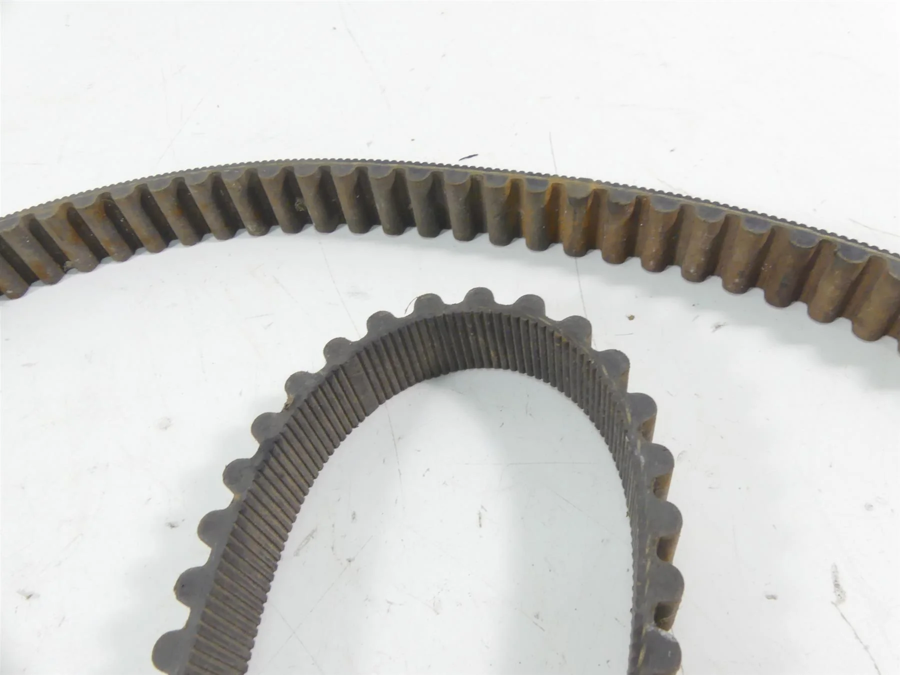 2002 Harley XL1200 Sportster Rear Drive Belt   128T 40022-91 - Image 8