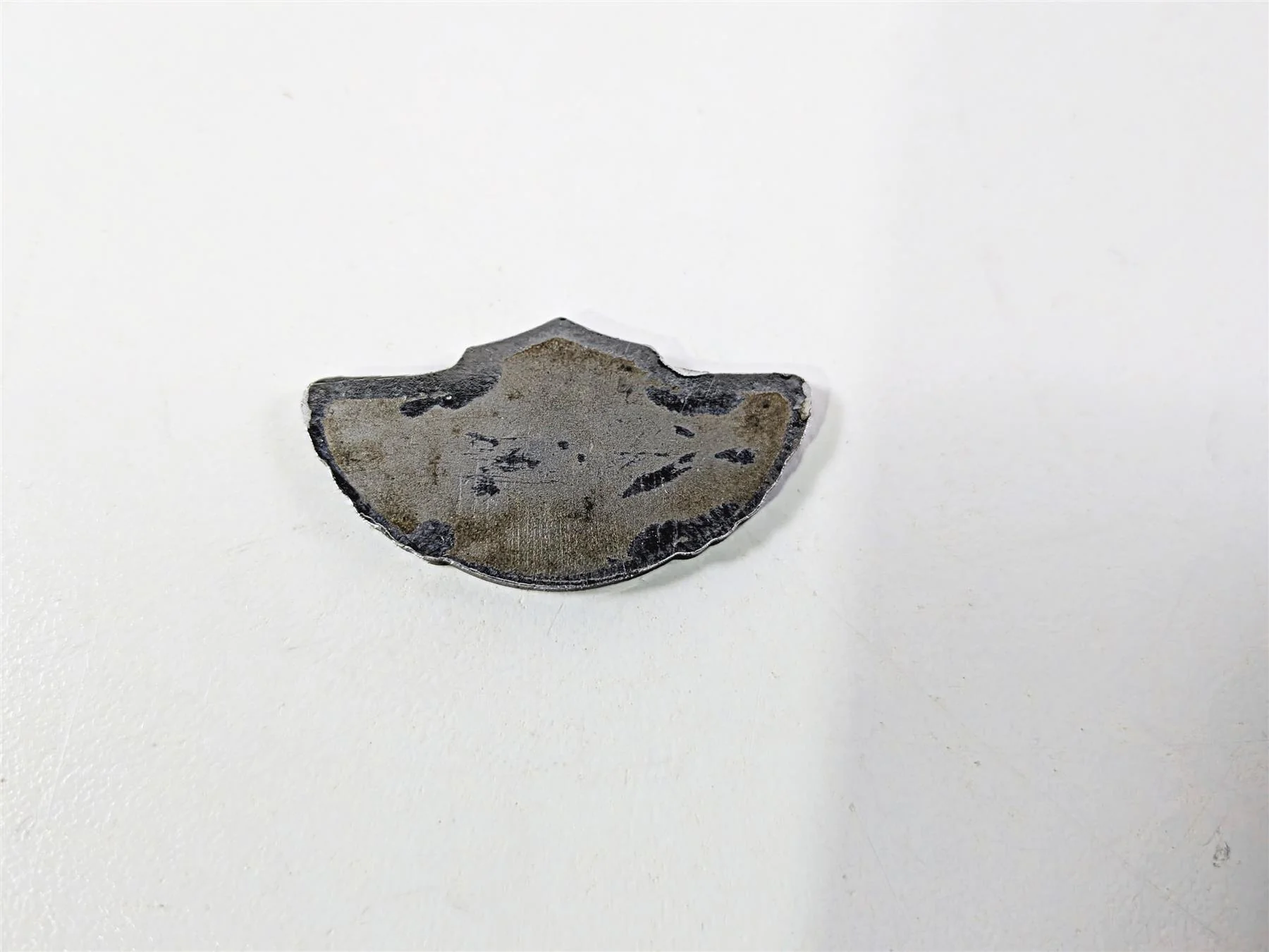 2003 Harley Sportster XL1200 100Th Anniversary Engine Motor Emblem - Image 6