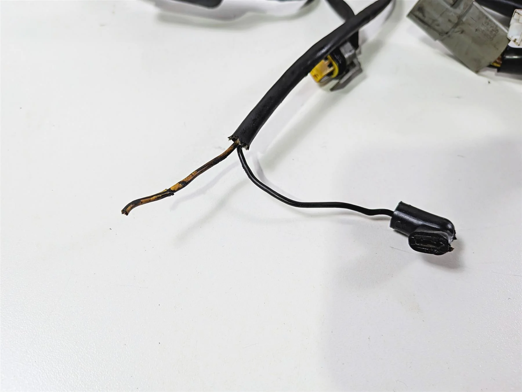 2006 Harley Davidson Dyna FXDBI Street Bob Wiring Harness Loom - Read 69602-06 - Image 10
