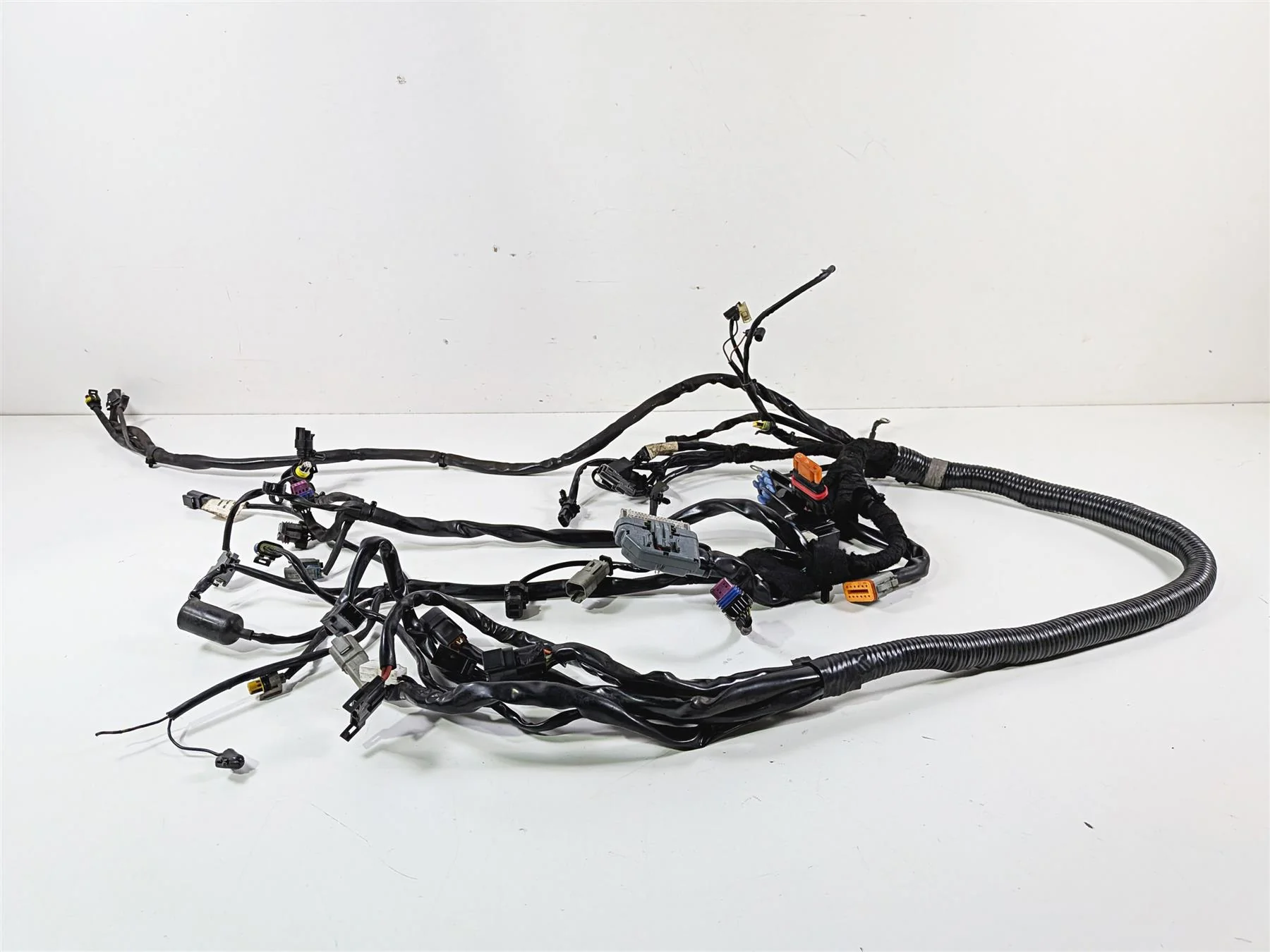 2006 Harley Davidson Dyna FXDBI Street Bob Wiring Harness Loom - Read 69602-06 - Image 2