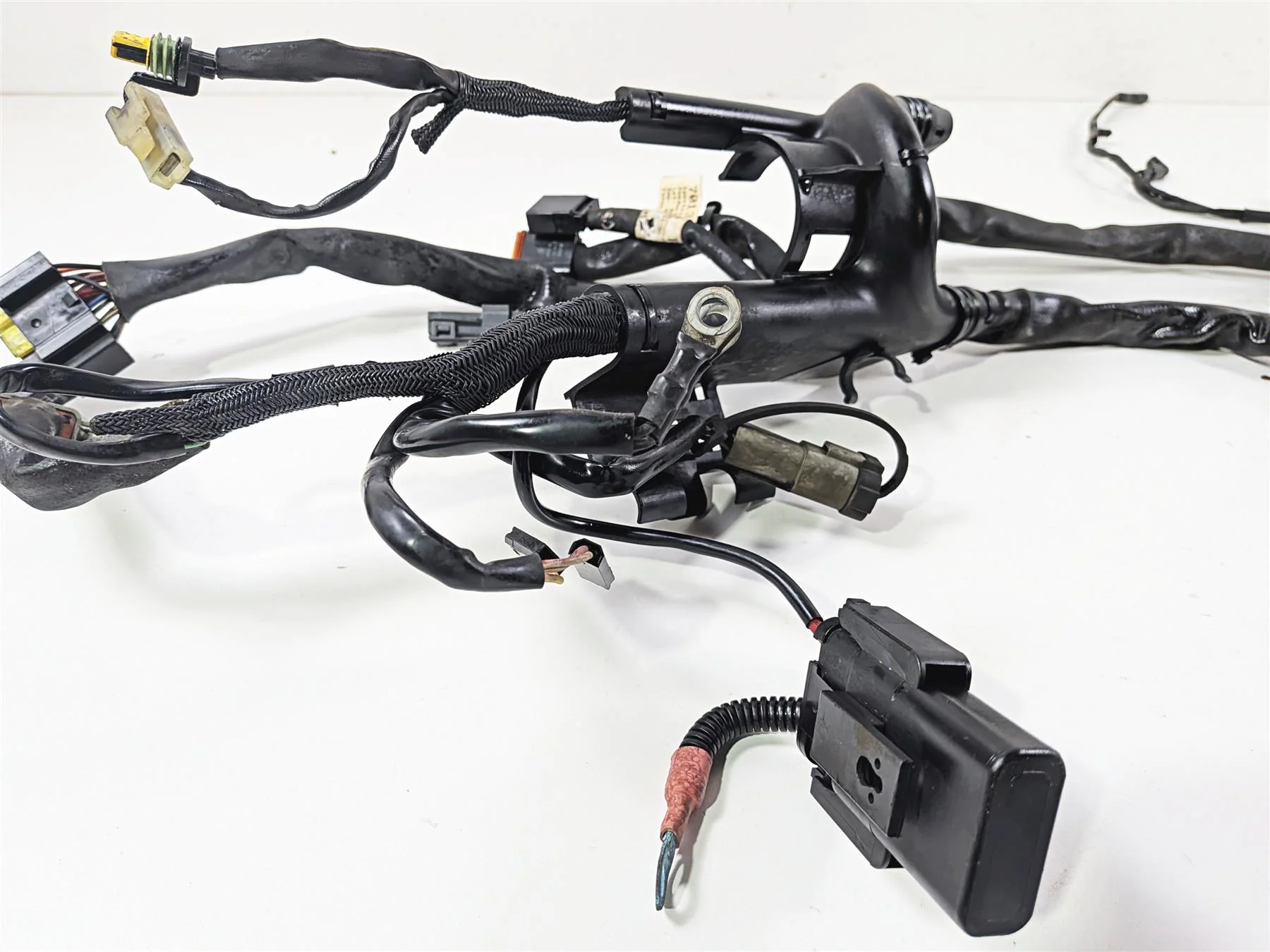 2006 Harley Sportster XL1200 C Main Wiring Harness Loom - Read 70139-06 - Image 2