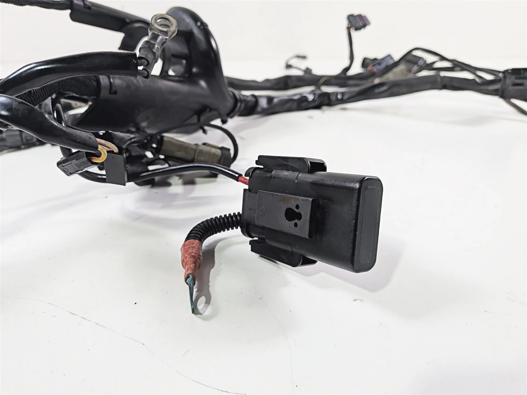 2006 Harley Sportster XL1200 C Main Wiring Harness Loom - Read 70139-06 - Image 6