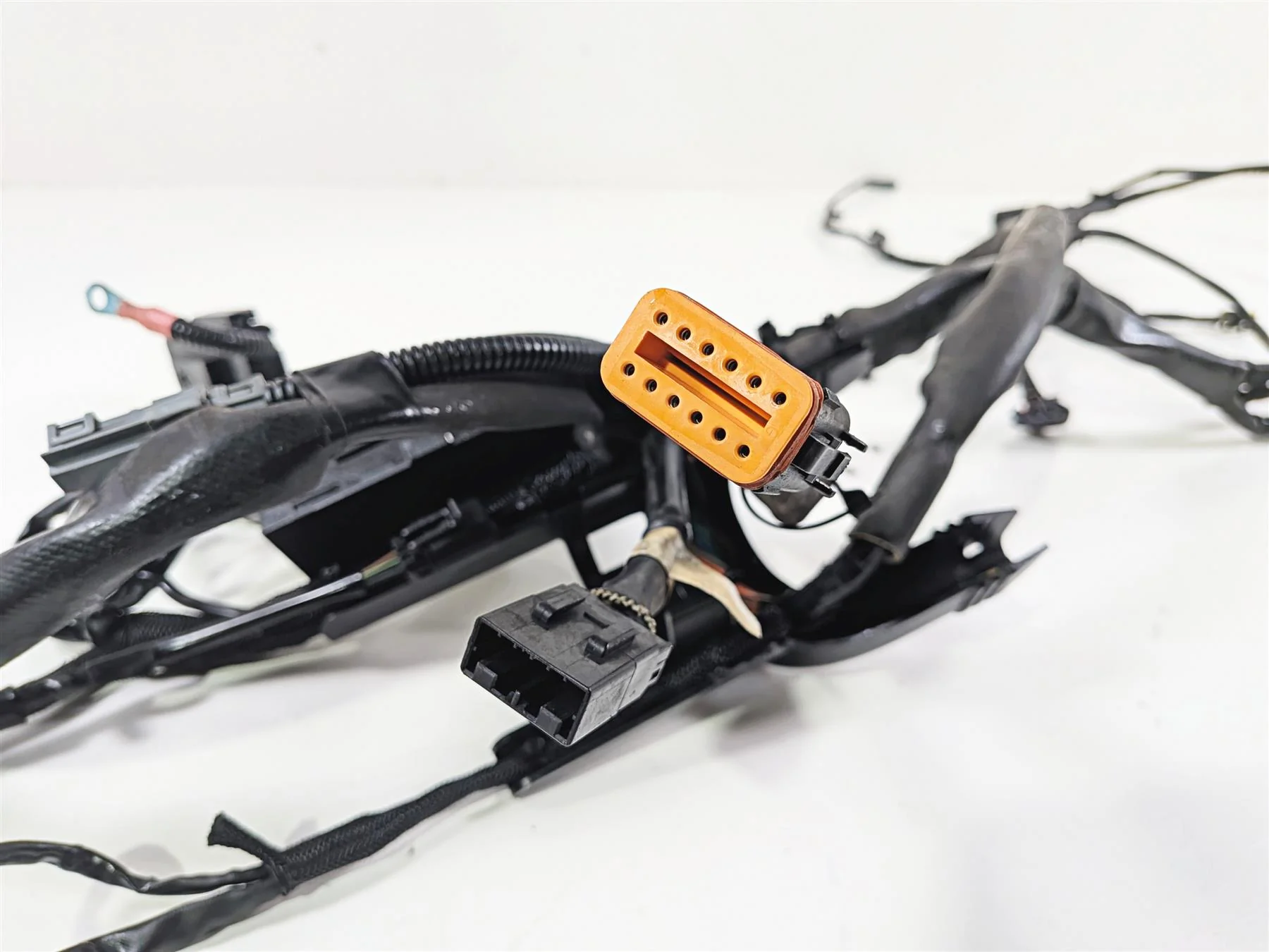 2006 Harley Sportster XL1200 C Main Wiring Harness Loom - Read 70139-06 - Image 7