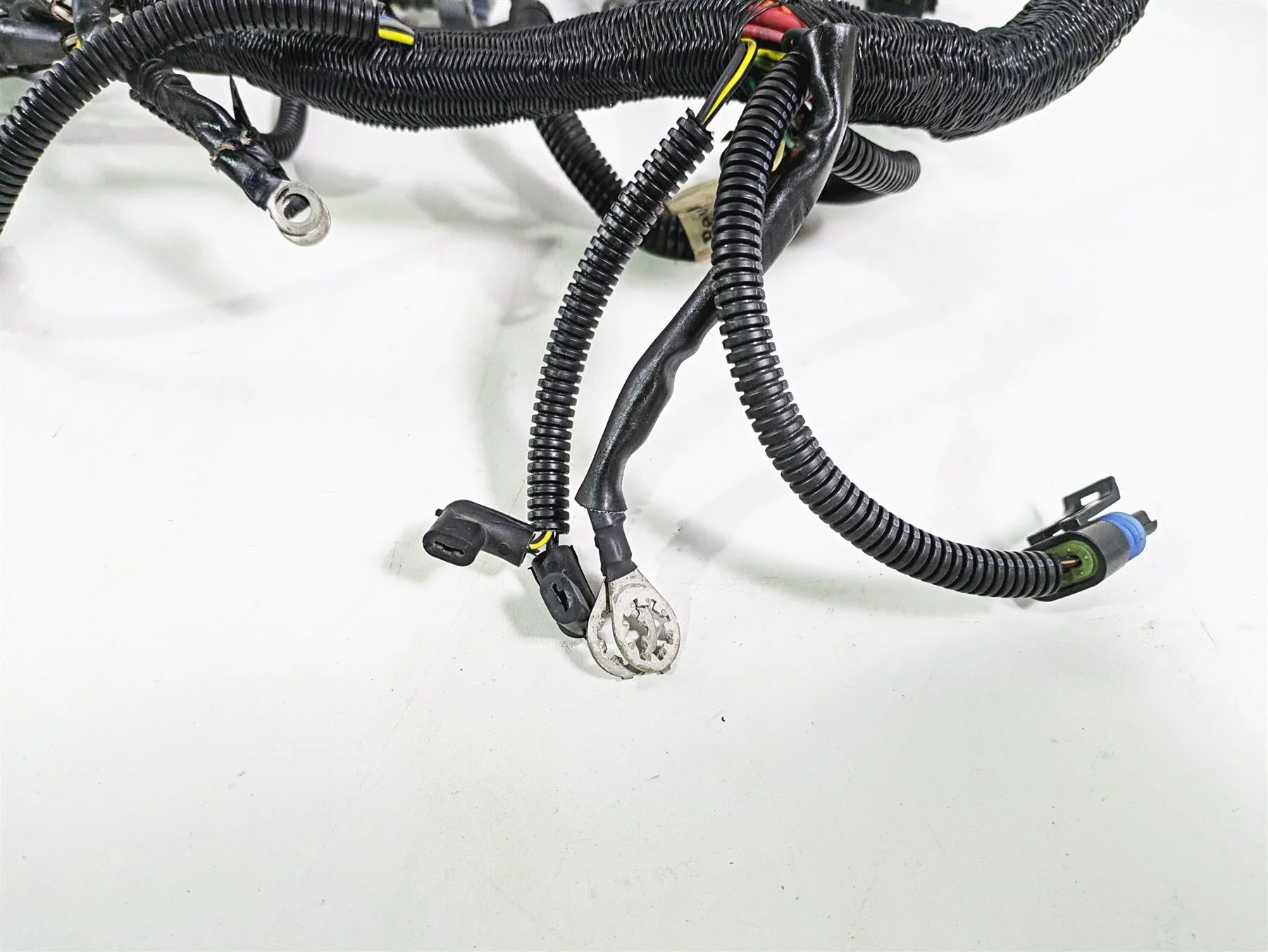 2006 Harley VRSCR Street V-Rod Main & Engine Wiring Harness 70162-06 - Image 6