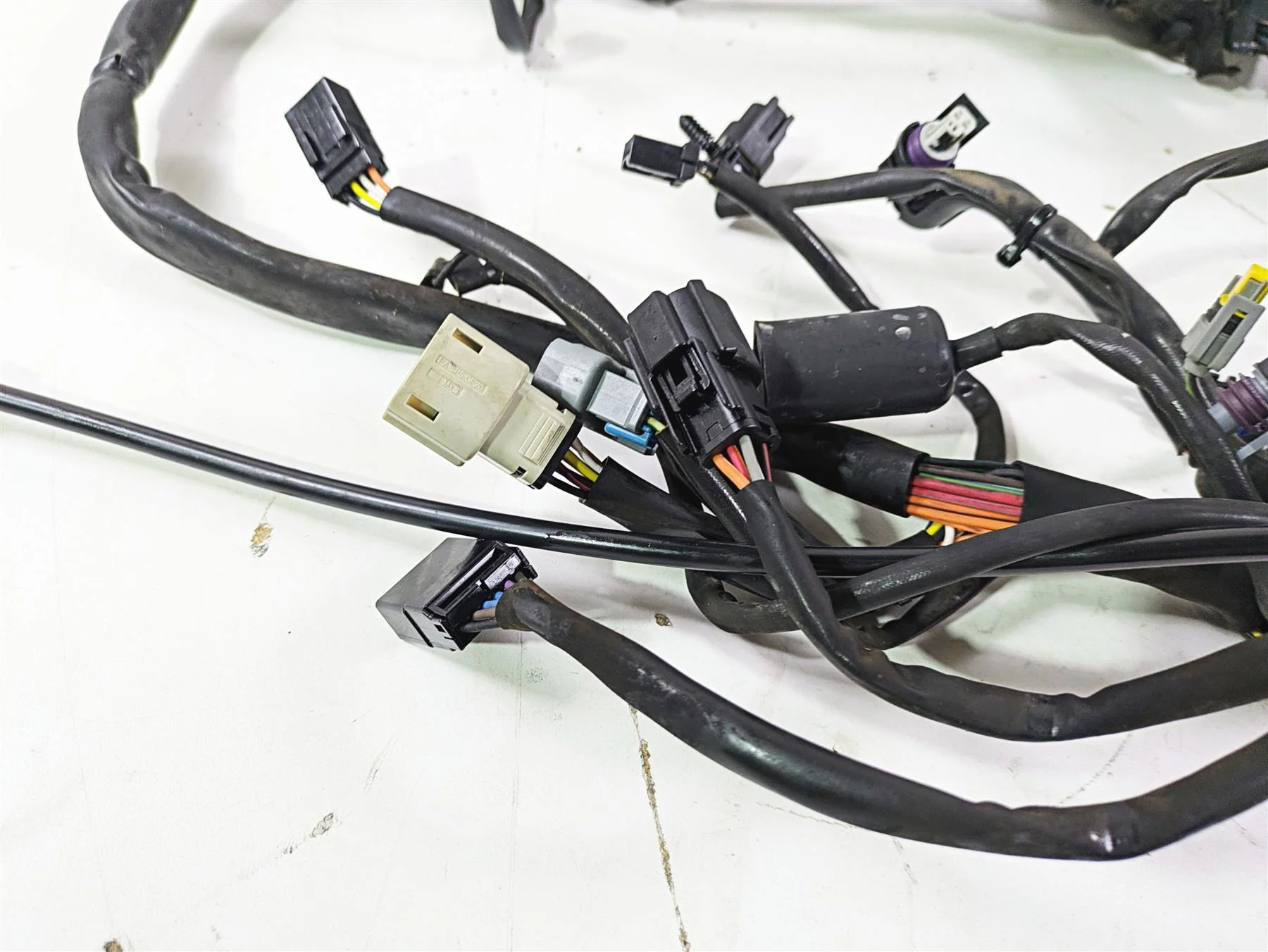 2008 Harley FLSTC 105TH Softail Heritage Wiring Harness Loom - Read 70431-08A - Image 9
