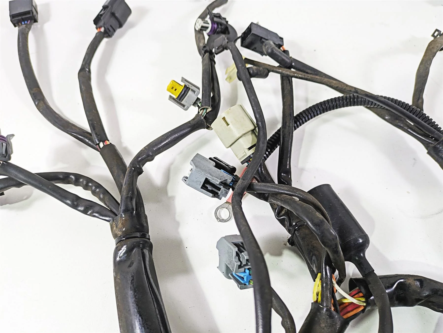 2008 Harley FLSTC Softail Heritage Main Wiring Harness Loom 70431-08A - Image 6