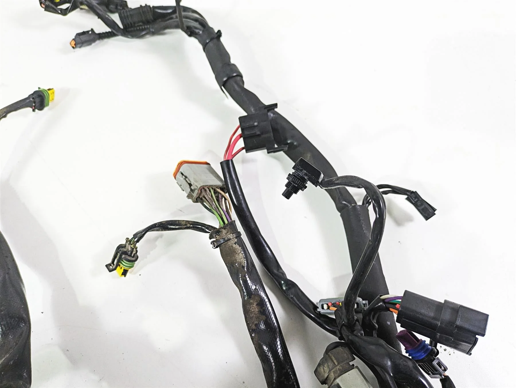 2008 Harley FLSTC Softail Heritage Main Wiring Harness Loom 70431-08A - Image 9