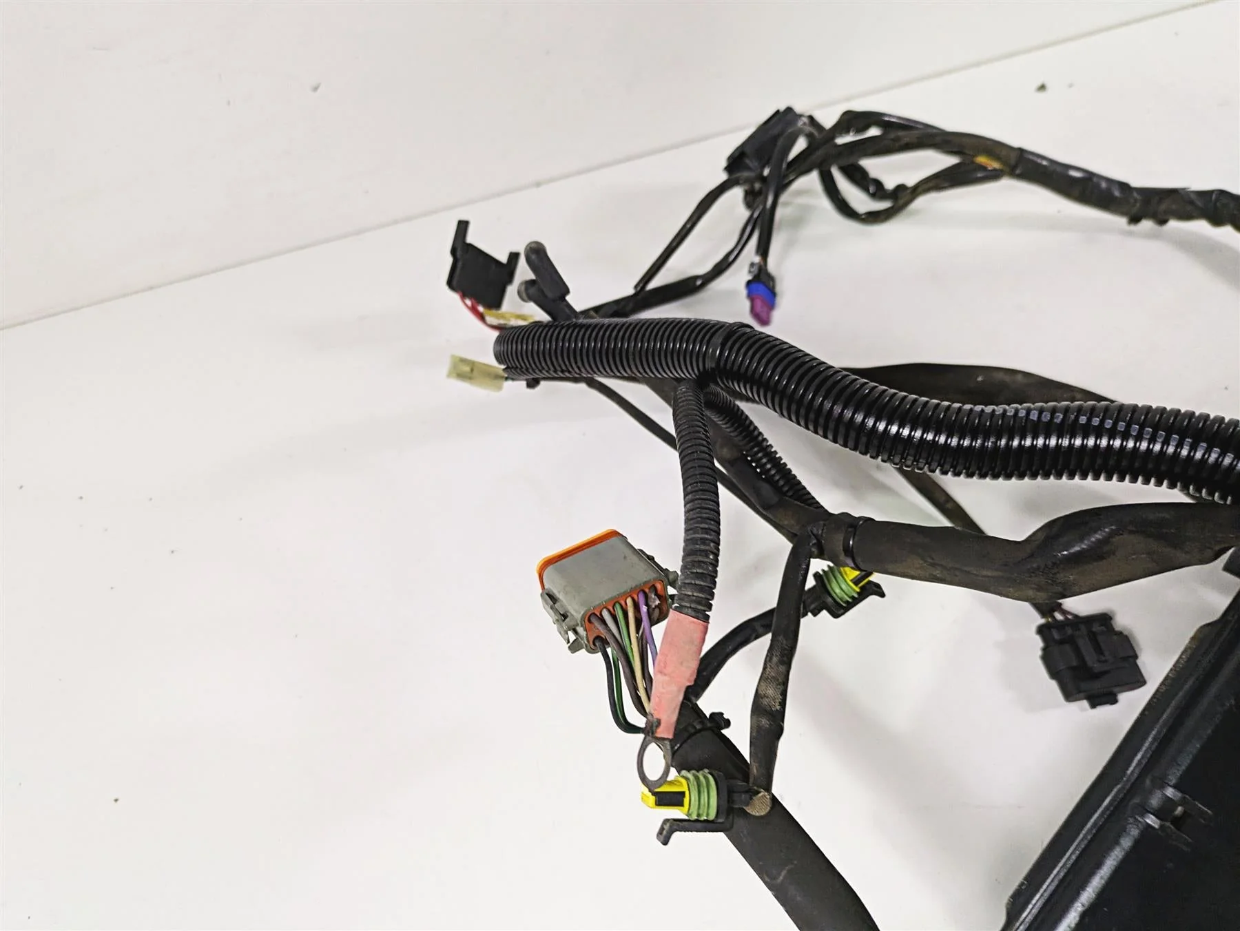 2008 Harley FLSTSB Cross Bones Main Wiring Harness Loom- Read 70431-08A - Image 7