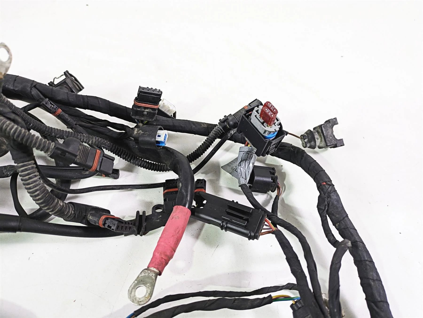 2009 BMW R1200GS K255 Adv Main & Engine Wiring Harness Abs Esa 61117726669 - Image 3