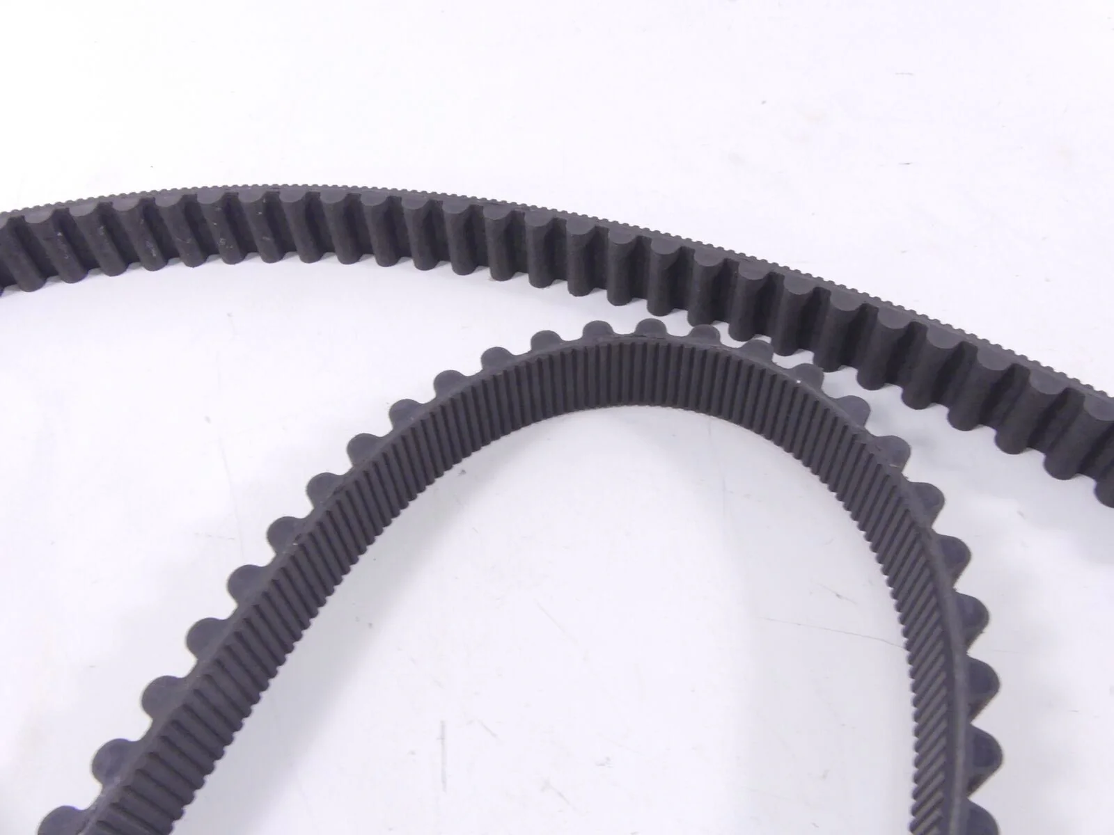 2009 Harley Sportster XR1200 Rear Drive Belt 137T 1"  40591-07 - Image 10