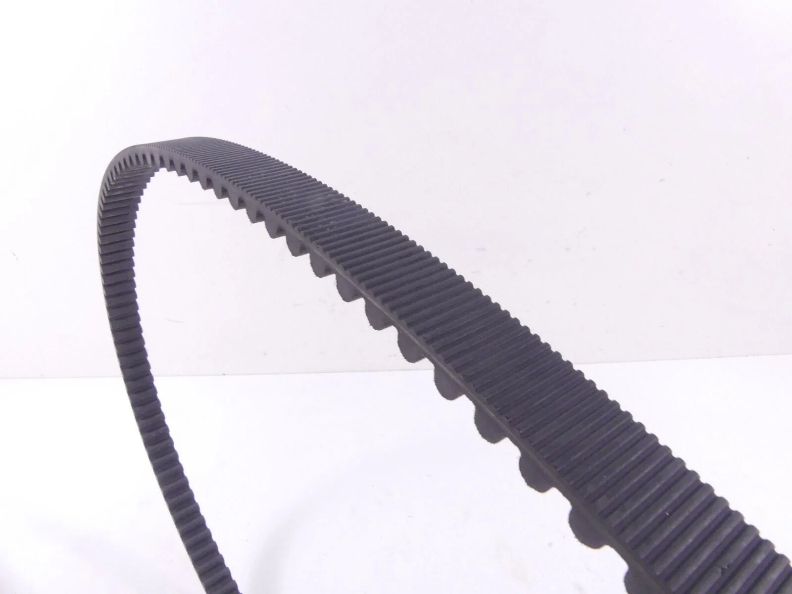 2009 Harley Sportster XR1200 Rear Drive Belt 137T 1"  40591-07 - Image 5