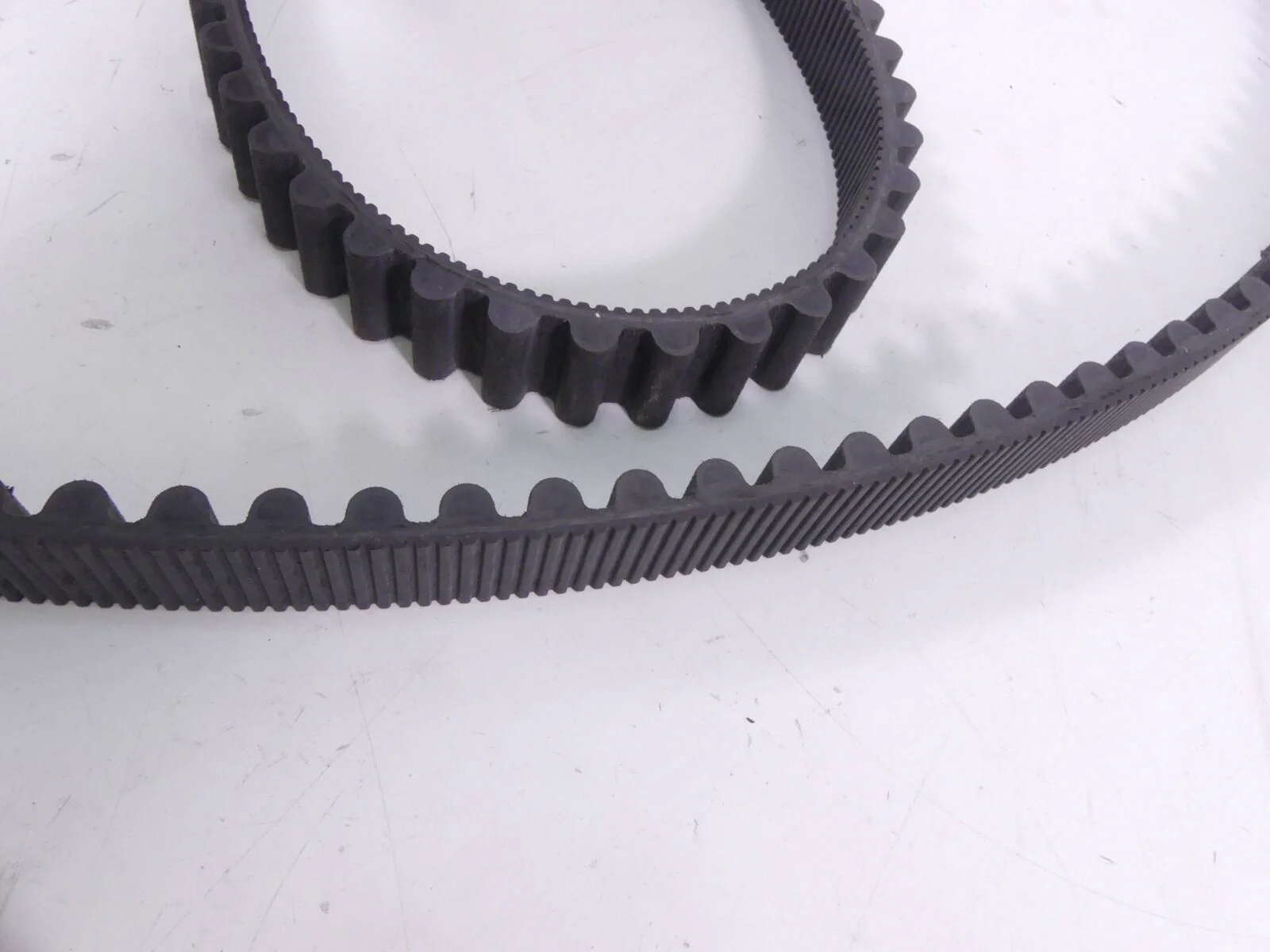 2009 Harley Sportster XR1200 Rear Drive Belt 137T 1"  40591-07 - Image 8