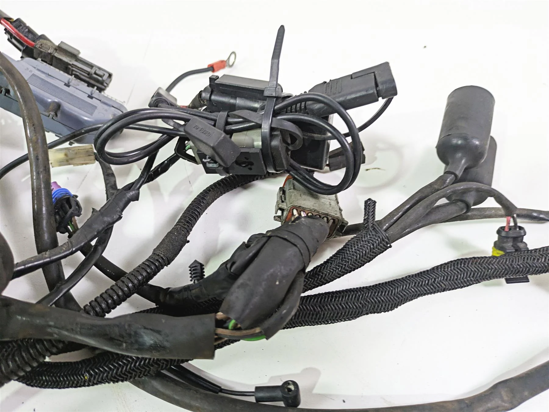 2009 Harley XR1200 Sportster Main & Engine Wiring Harness - Read 70225-08 - Image 4