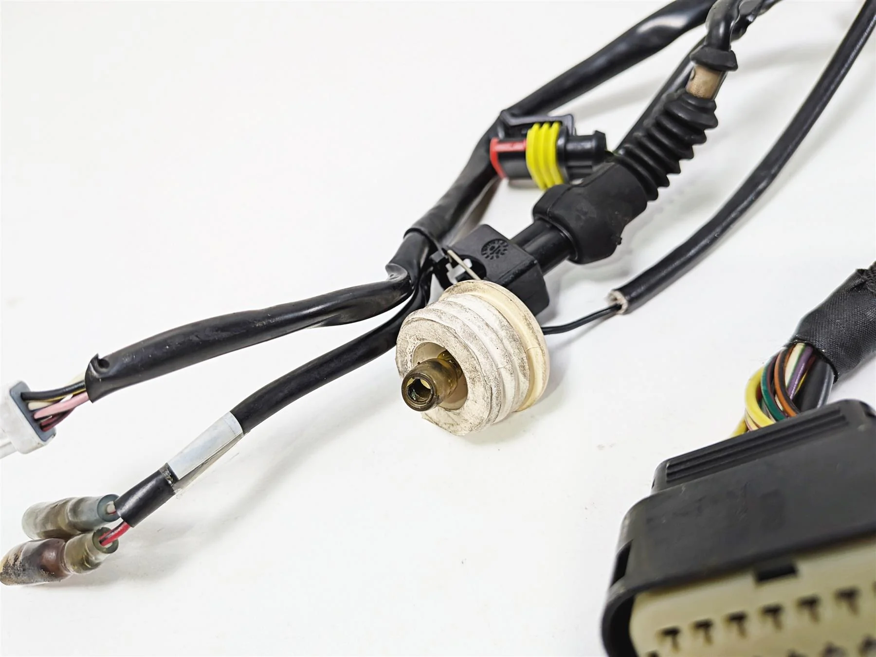 2011 Ducati Streetfighter 1098 S Main Wiring Harness Loom -Great Shape 51016621B - Image 6
