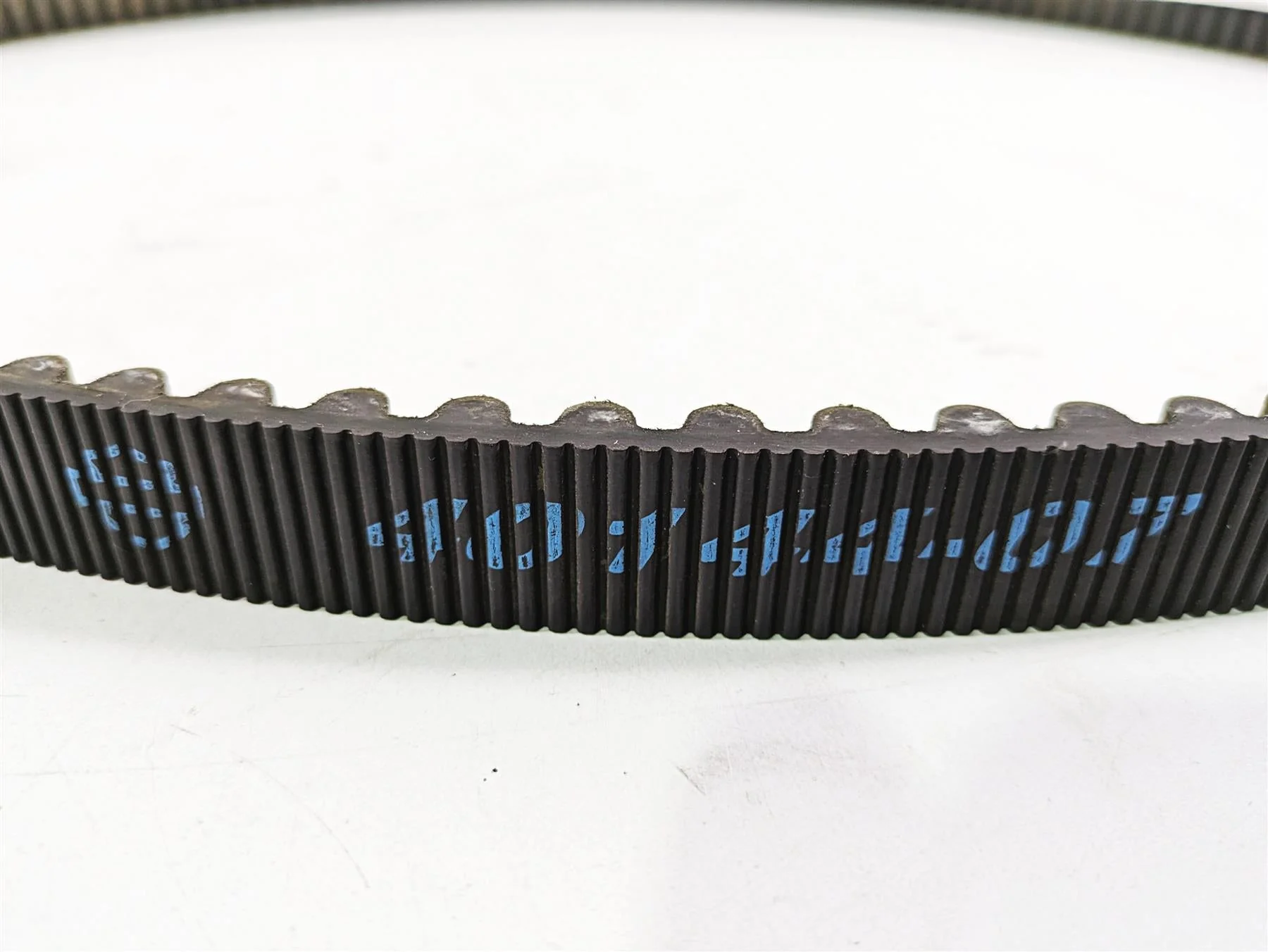 2013 Harley VRSCDX Night Rod Sp Rear Drive Belt 151T 40144-07 - Image 4