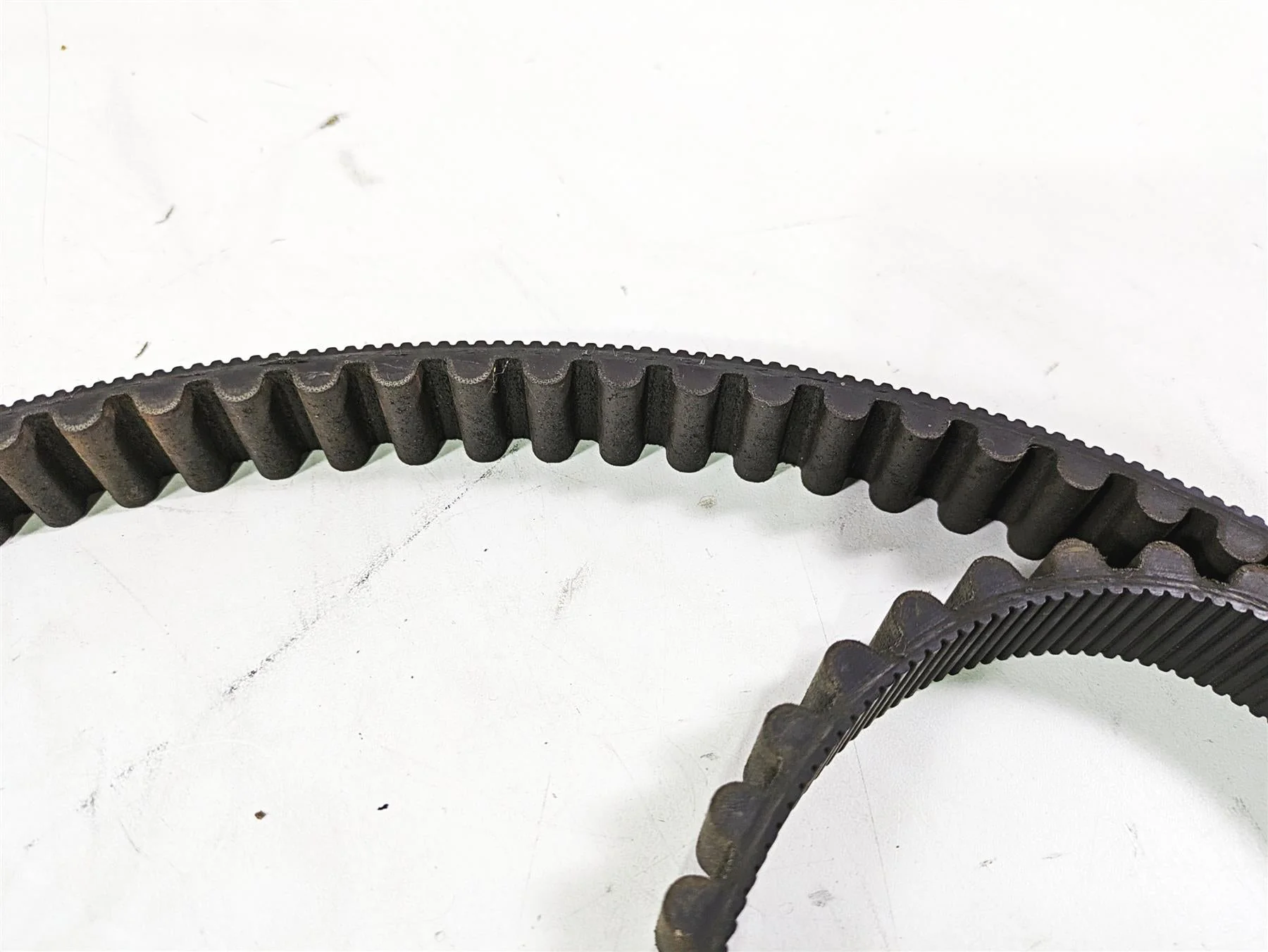2013 Harley VRSCDX Night Rod Sp Rear Drive Belt 151T 40144-07 - Image 5