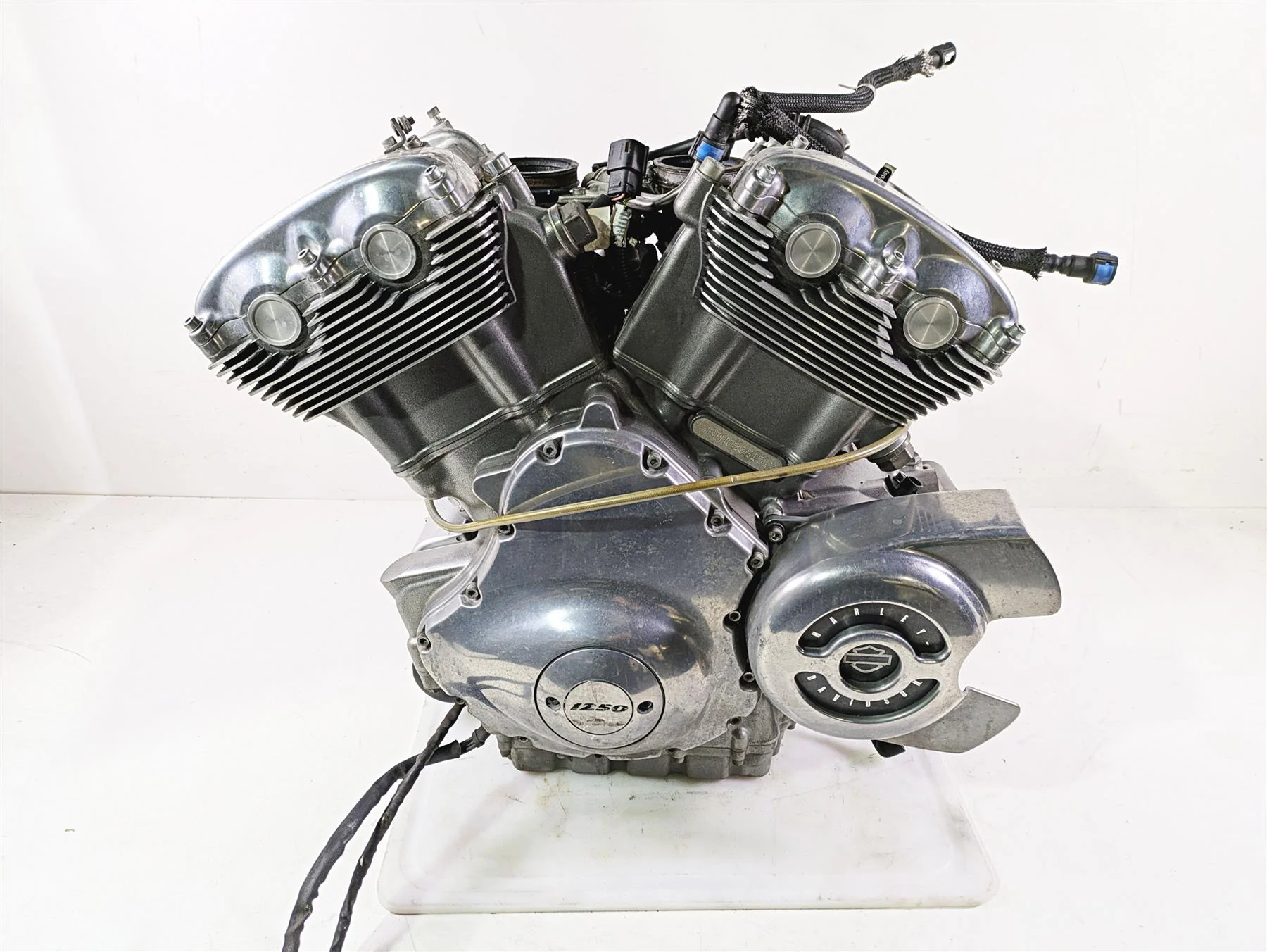2013 Harley VRSCF Muscle Rod Running 1250cc Engine Motor 29k - Video 19974-17K - Image 3