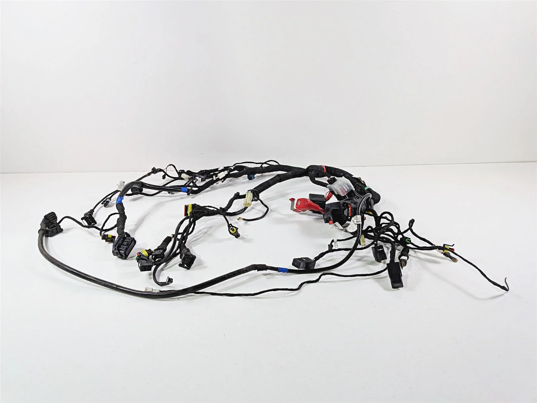 2015 Ducati Scrambler Urban Enduro Main Wiring Harness Loom - Read 51019821F - Image 3