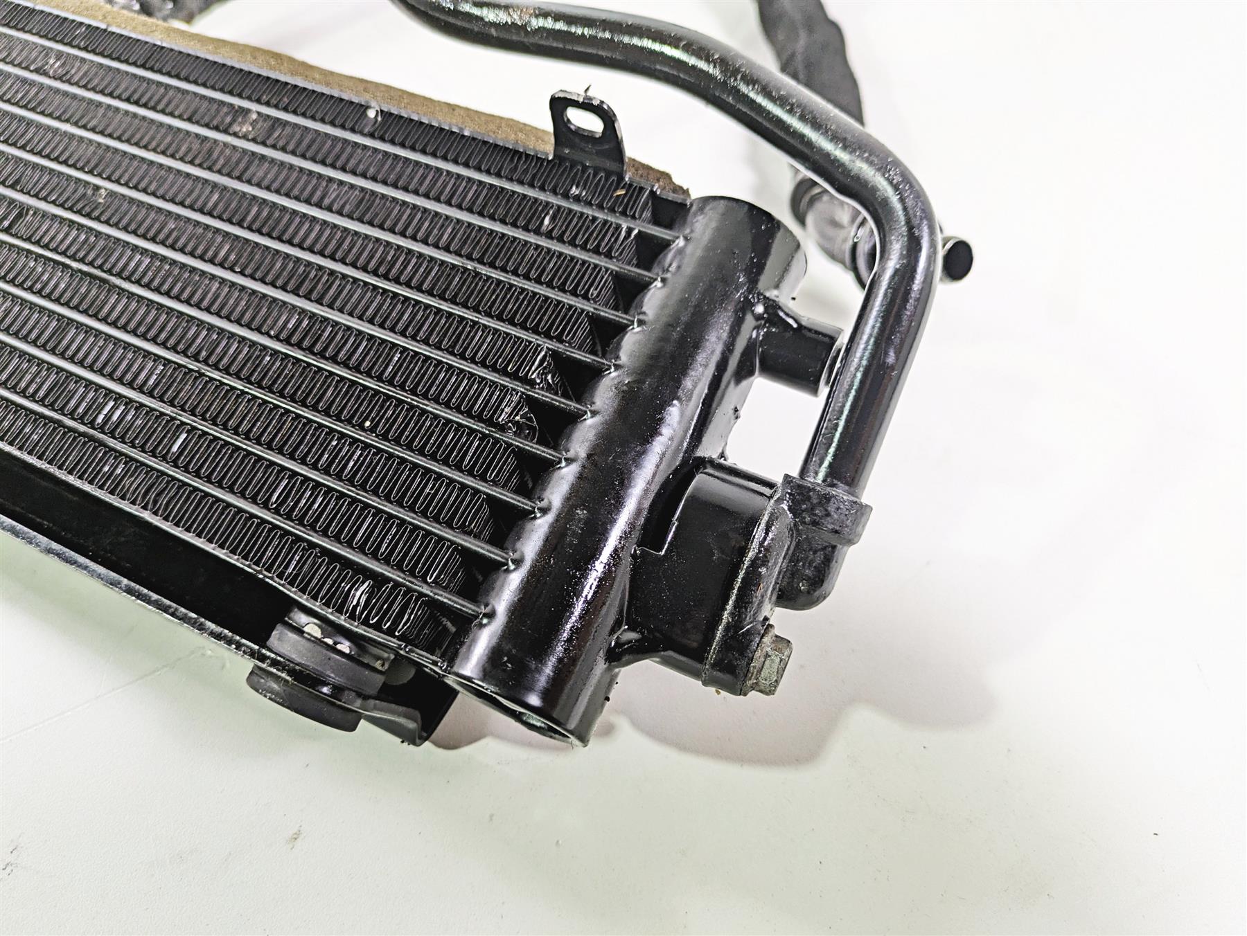 2016 Harley VRSCDX Night Rod Oil Cooler & Lines 62700054 - Image 10