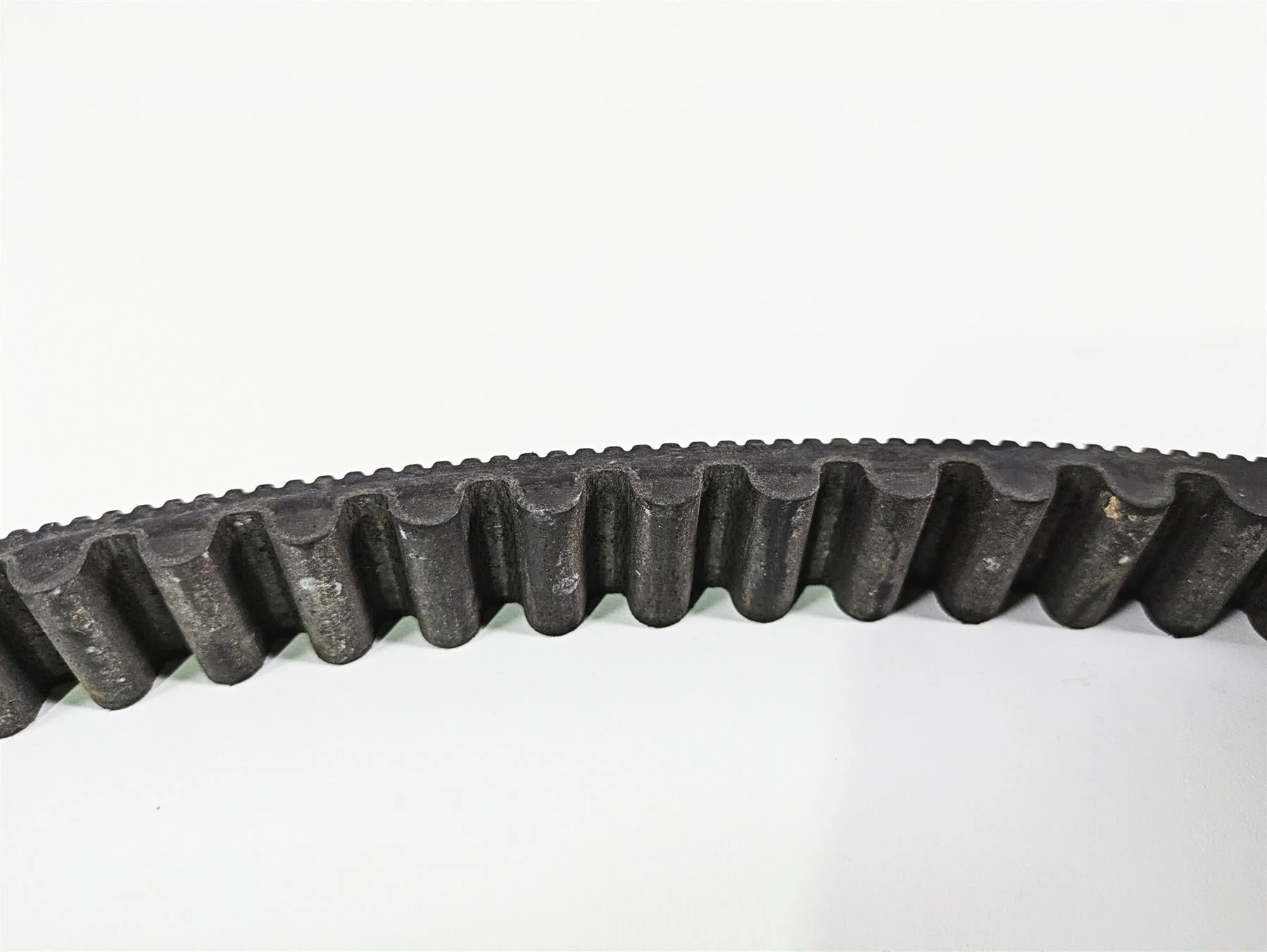2016 Indian Chief Classic Rear Drive Belt 125T 24mm 3211168 - Image 5