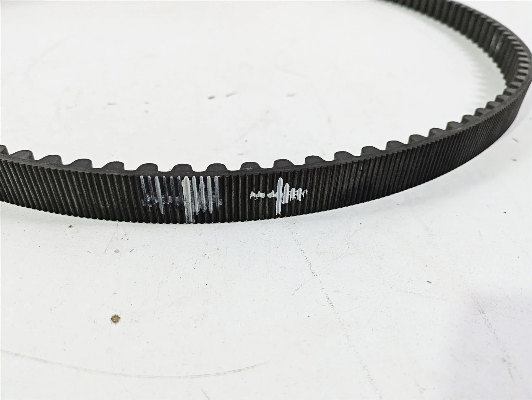2018 Harley FXBR Softail Breakout Main Drive Belt 134T 24Mm 40000018 - Image 3