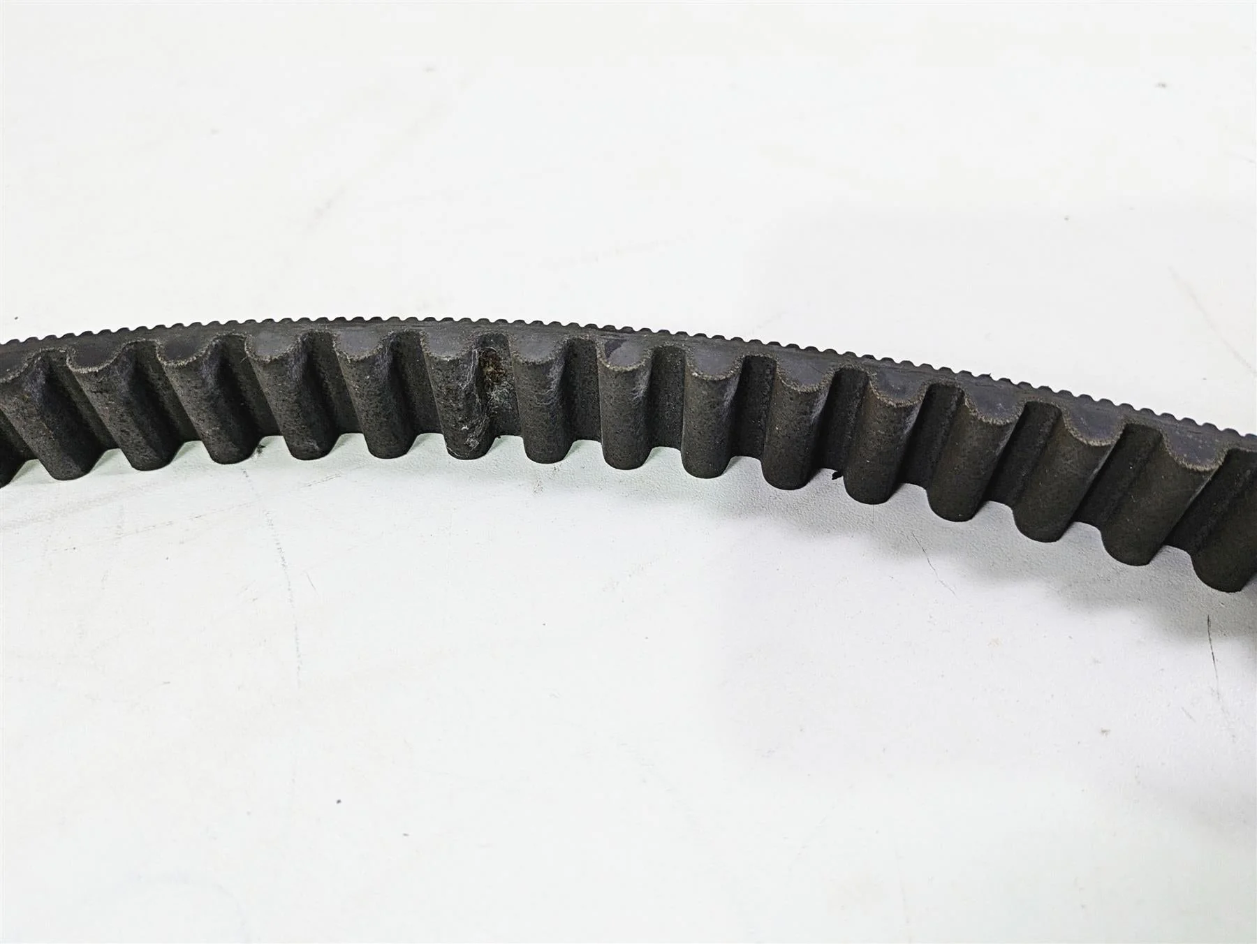 2018 Harley FXBR Softail Breakout Main Drive Belt 134T 24Mm 40000018 - Image 5