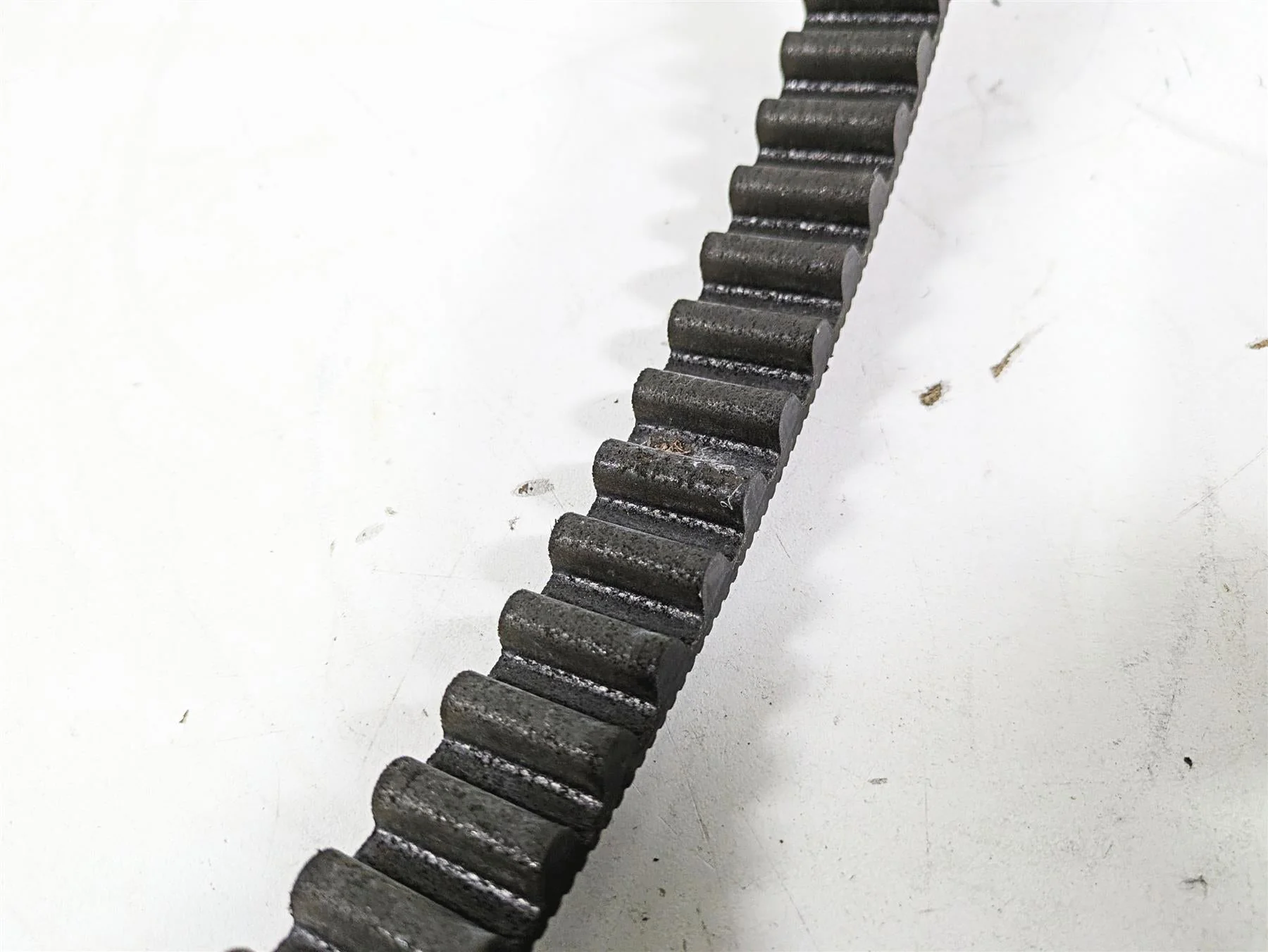 2018 Harley FXBR Softail Breakout Main Drive Belt 134T 24Mm 40000018 - Image 8
