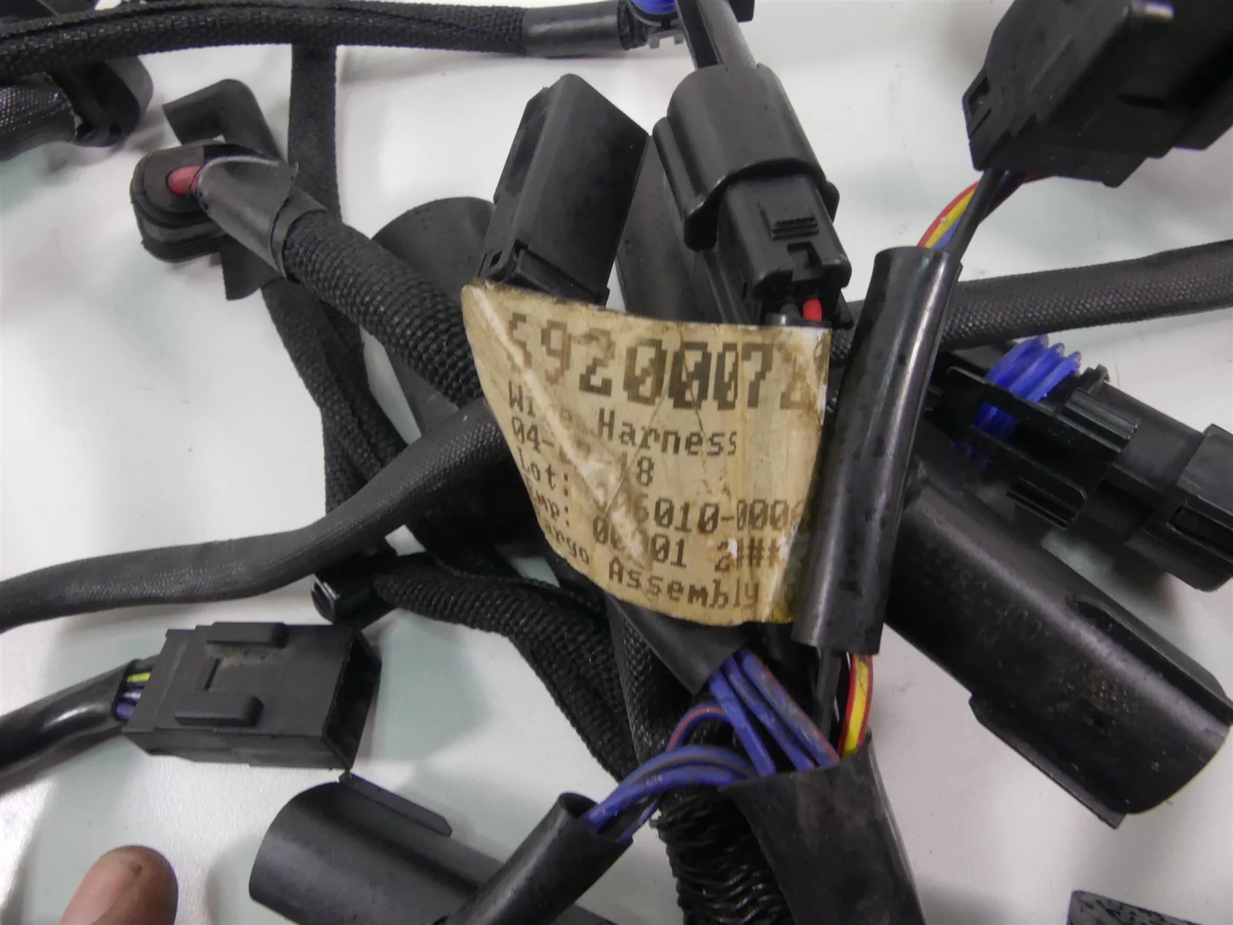 2018 Harley Sportster XL1200 Custom Main Wiring Harness Loom - No Abs 69200072B - Image 6