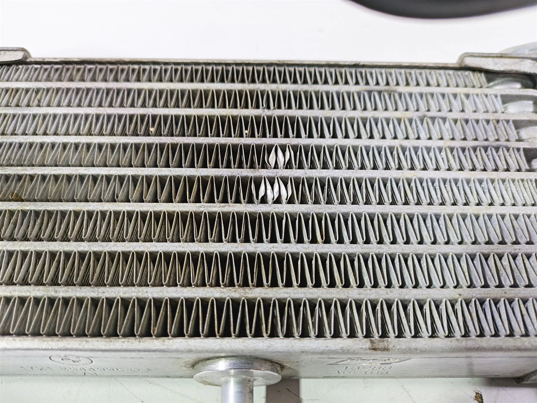 2019 BMW S1000XR K49 Oil Cooler &  Lines Straight No Leaks 17218545633 - Image 7