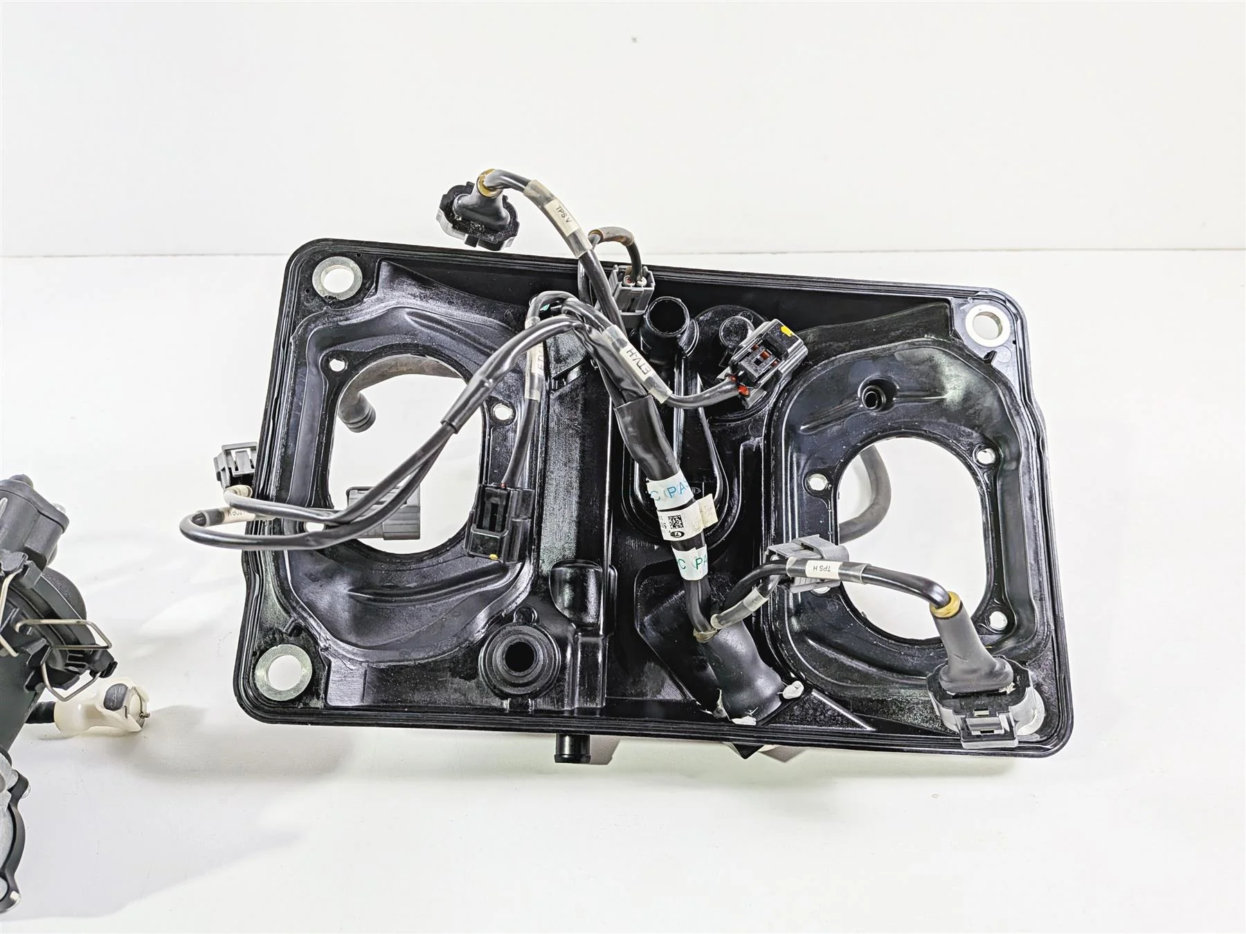 2019 Ducati 959 Panigale Mikuni Throttle Bodies + Wiring & Housing 28240921A - Image 7
