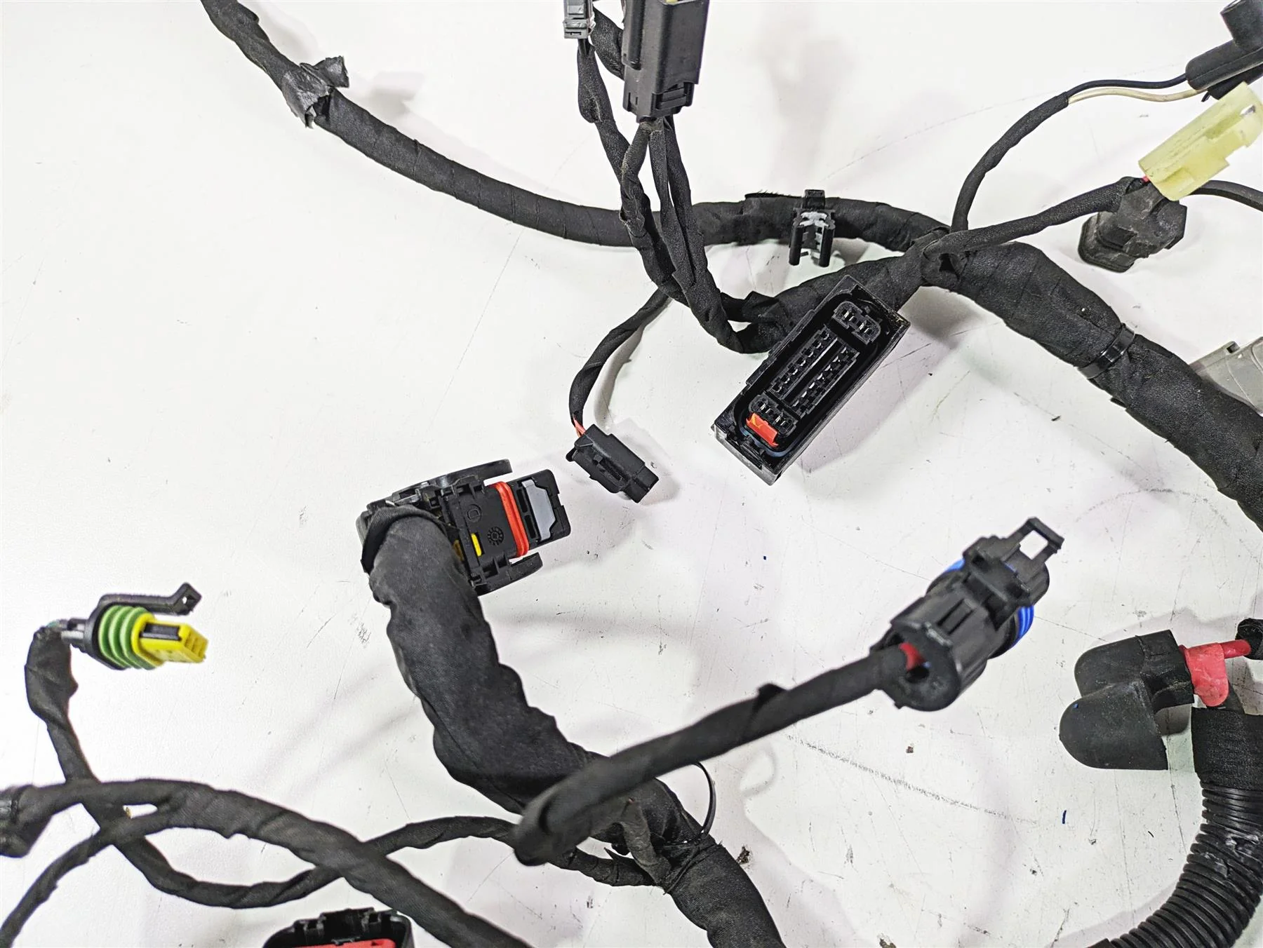 2019 Harley FLHCS Softail Heritage Main Wiring Harness Loom Abs -No Cut 69201492 - Image 5