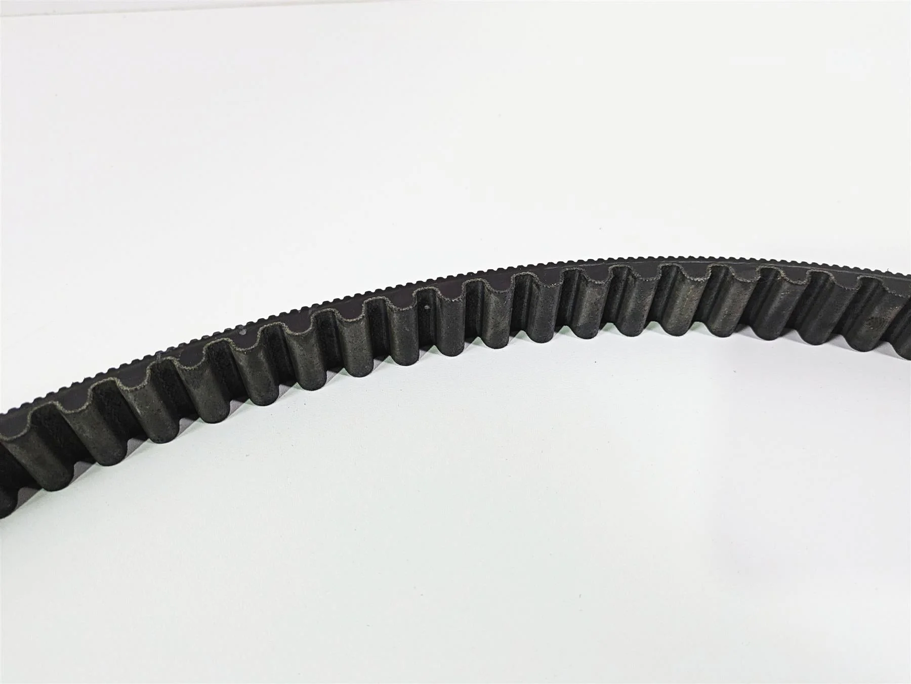 2019 Harley Softail FXDR 114 Rear Drive Belt 134T 24mm 40000018 - Image 6