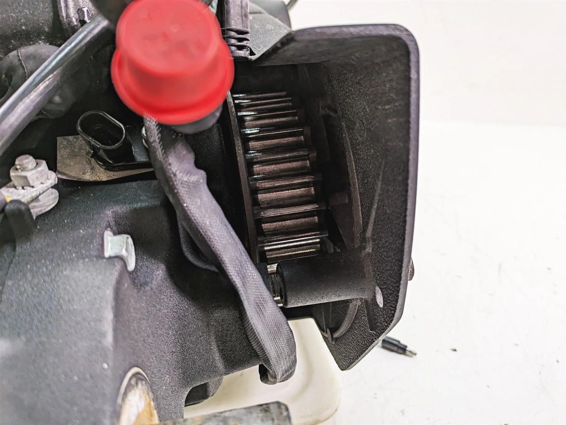 2019 Harley XL883N Sportster Iron Black Running Engine Motor - Video 16200497 - Image 6