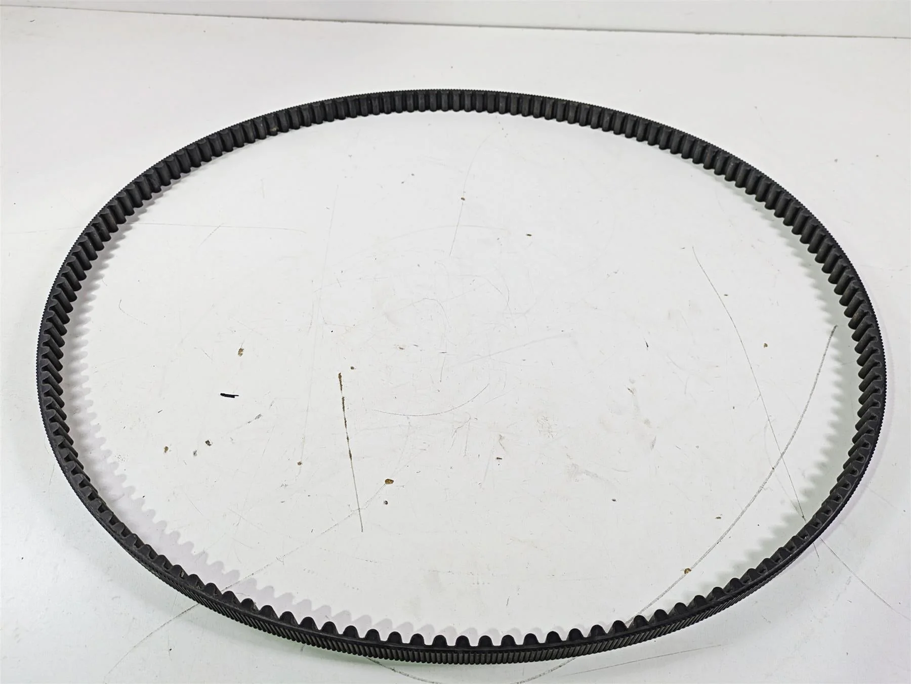 2019 Indian Chieftain Limited Rear Drive Belt 152T 24mm 3211168 - Image 2