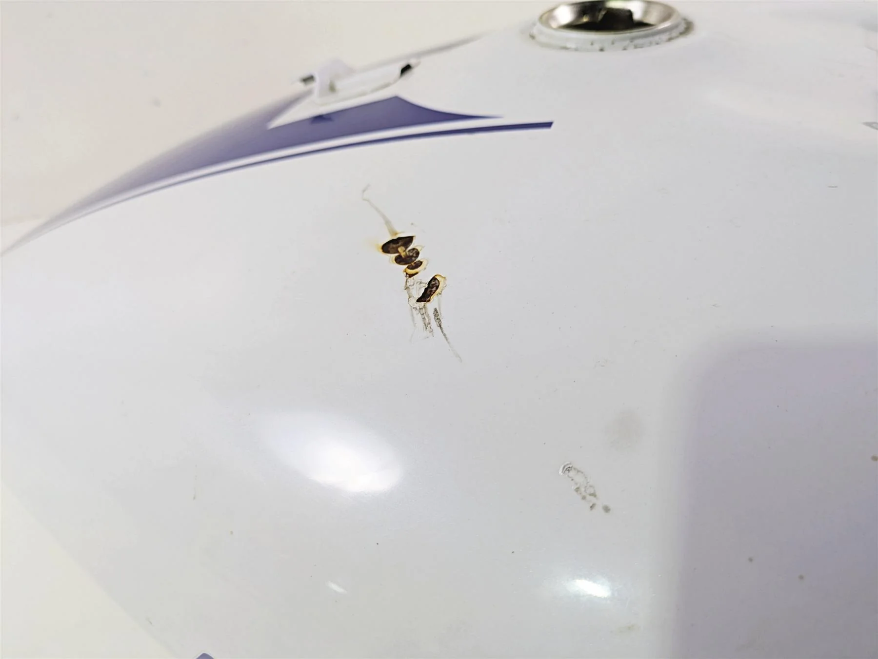 2019 Suzuki M109R VZR1800 Boulevard Fuel Gas Petrol Tank -Read 49100-48G80 - Image 4