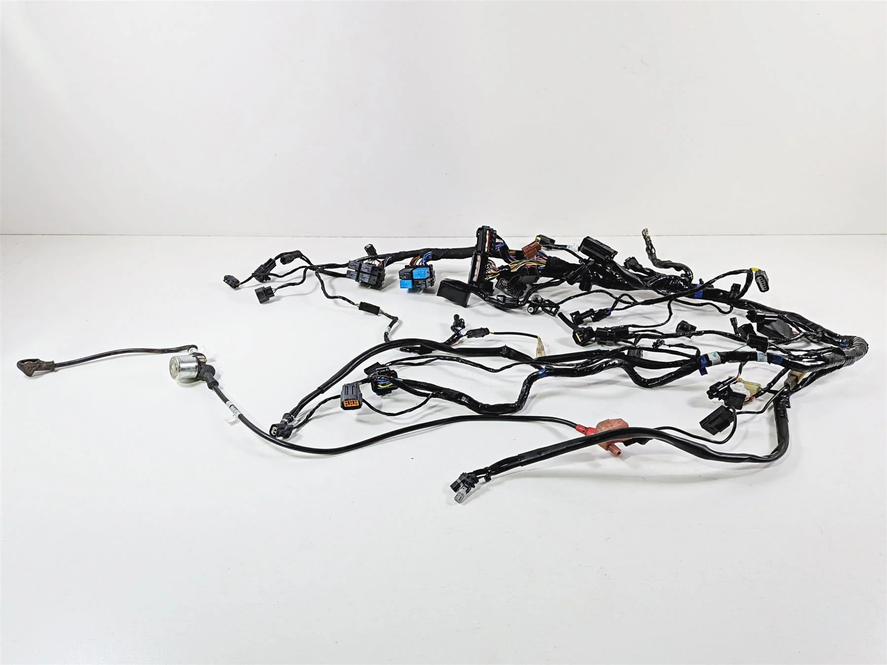 2019 Triumph Speed Triple RS 1050 Wiring Harness Loom - No Cuts T2502526