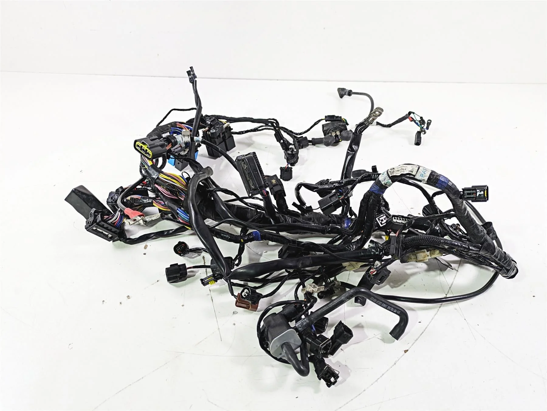 2019 Triumph Speed Triple RS 1050 Wiring Harness Loom -No Cuts T2502526