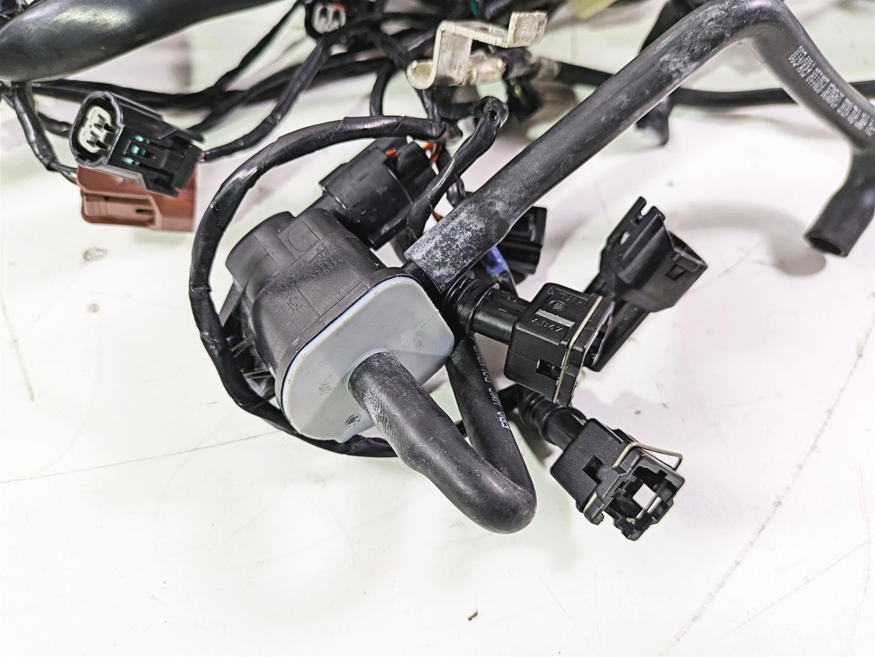 2019 Triumph Speed Triple RS 1050 Wiring Harness Loom -No Cuts T2502526 - Image 6