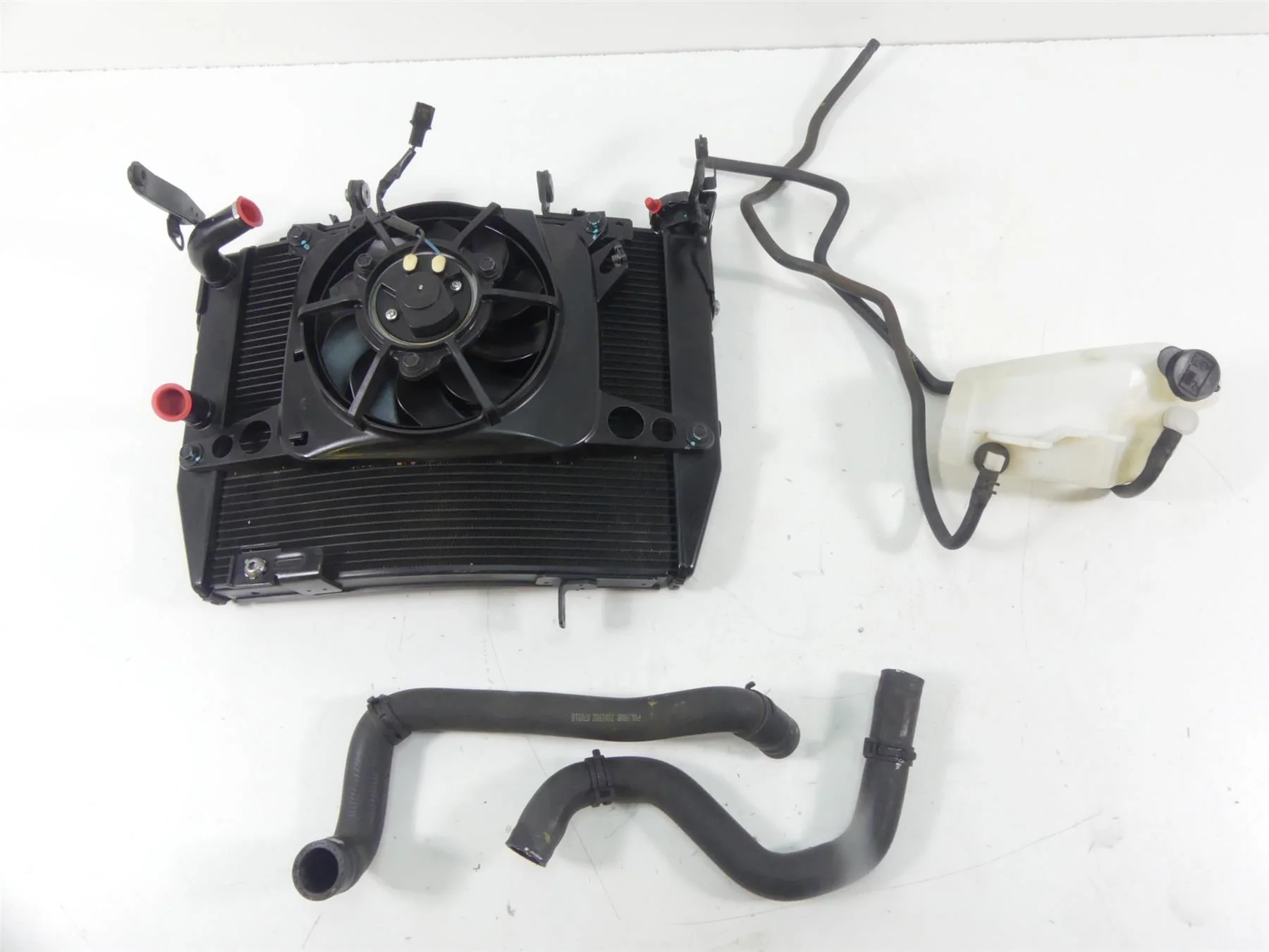 2019 Triumph Street Triple 765R Radiator Fan Reservoir Hoses Set T2104444