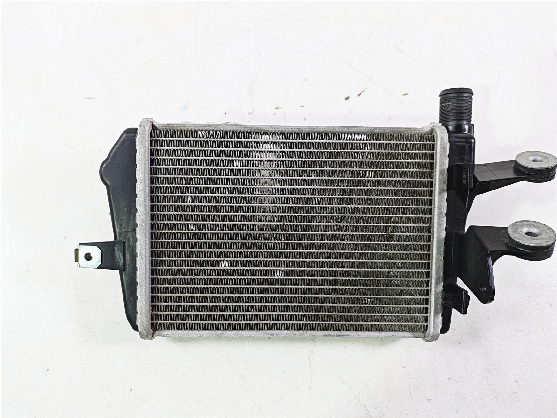2021 BMW R1250GS K51 Adv Left Radiator Fan Cover Set -No Leaks 17118546408 - Image 5