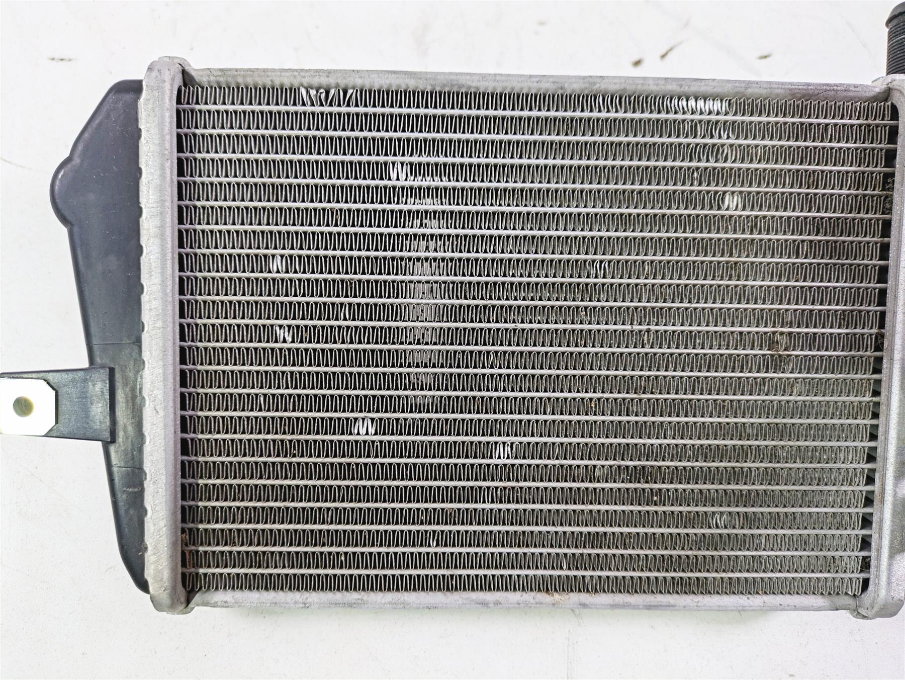 2021 BMW R1250GS K51 Adv Left Radiator Fan Cover Set -No Leaks 17118546408 - Image 6