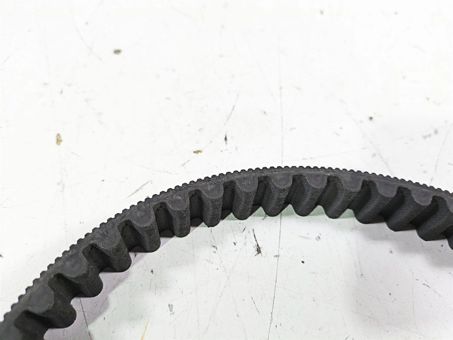 2021 Harley Softail FLSL Slim Rear Drive Belt 134T 24mm 40000018 - Image 11