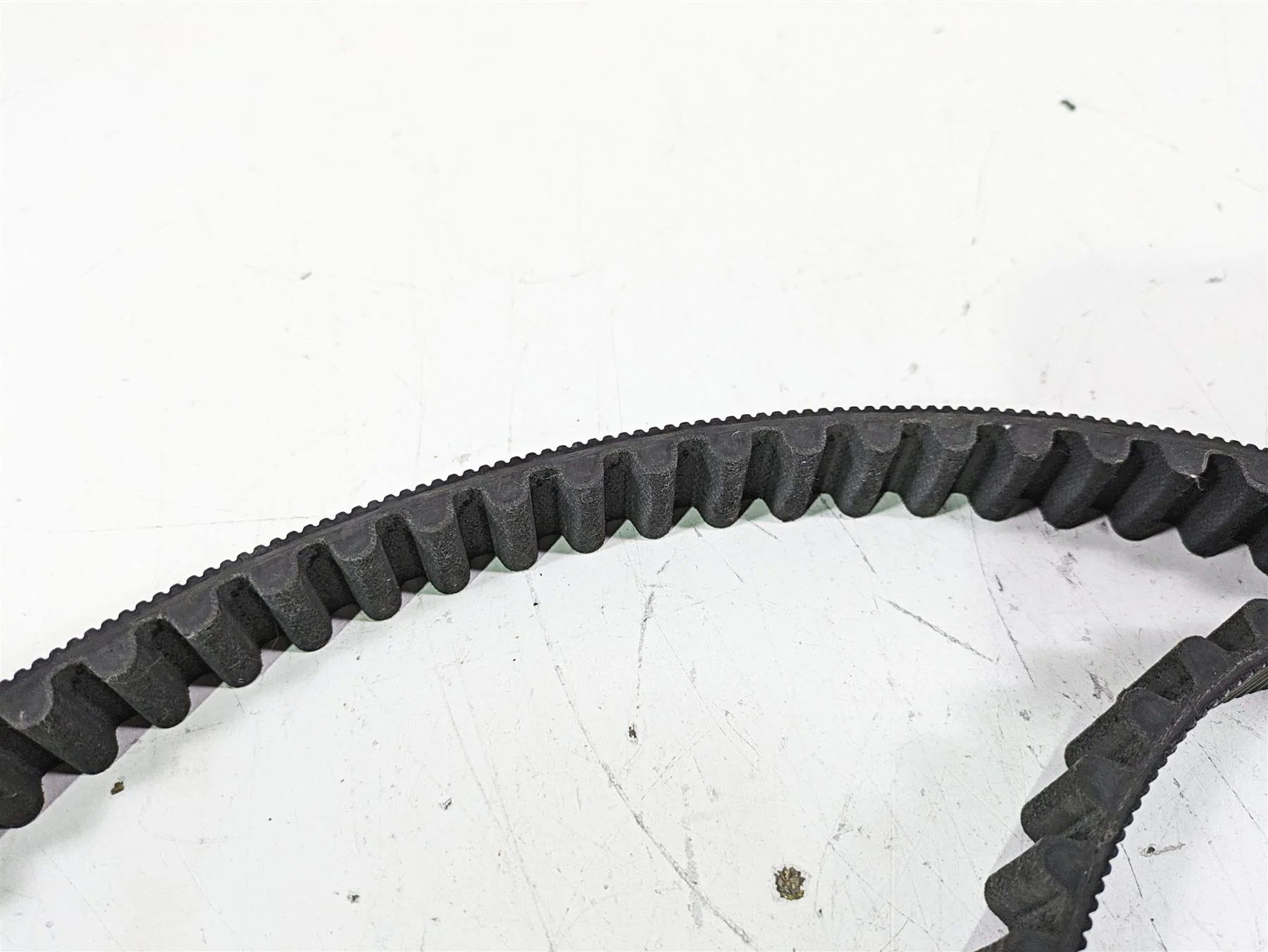 2021 Harley Softail FLSL Slim Rear Drive Belt 134T 24mm 40000018 - Image 6