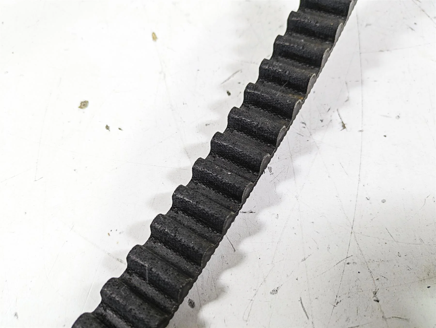 2021 Harley Softail FLSL Slim Rear Drive Belt 134T 24mm 40000018 - Image 8