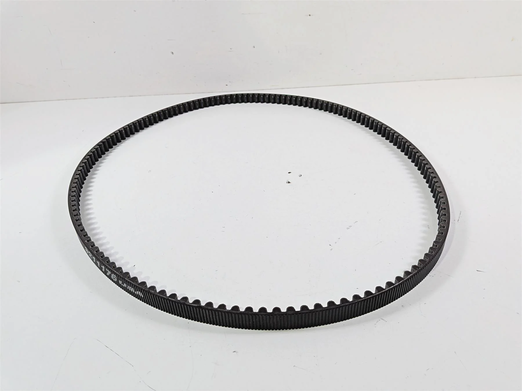 2021 Indian Scout 1200 Rear Drive Belt 141T 22mm 395miles only 3211176 - Image 12