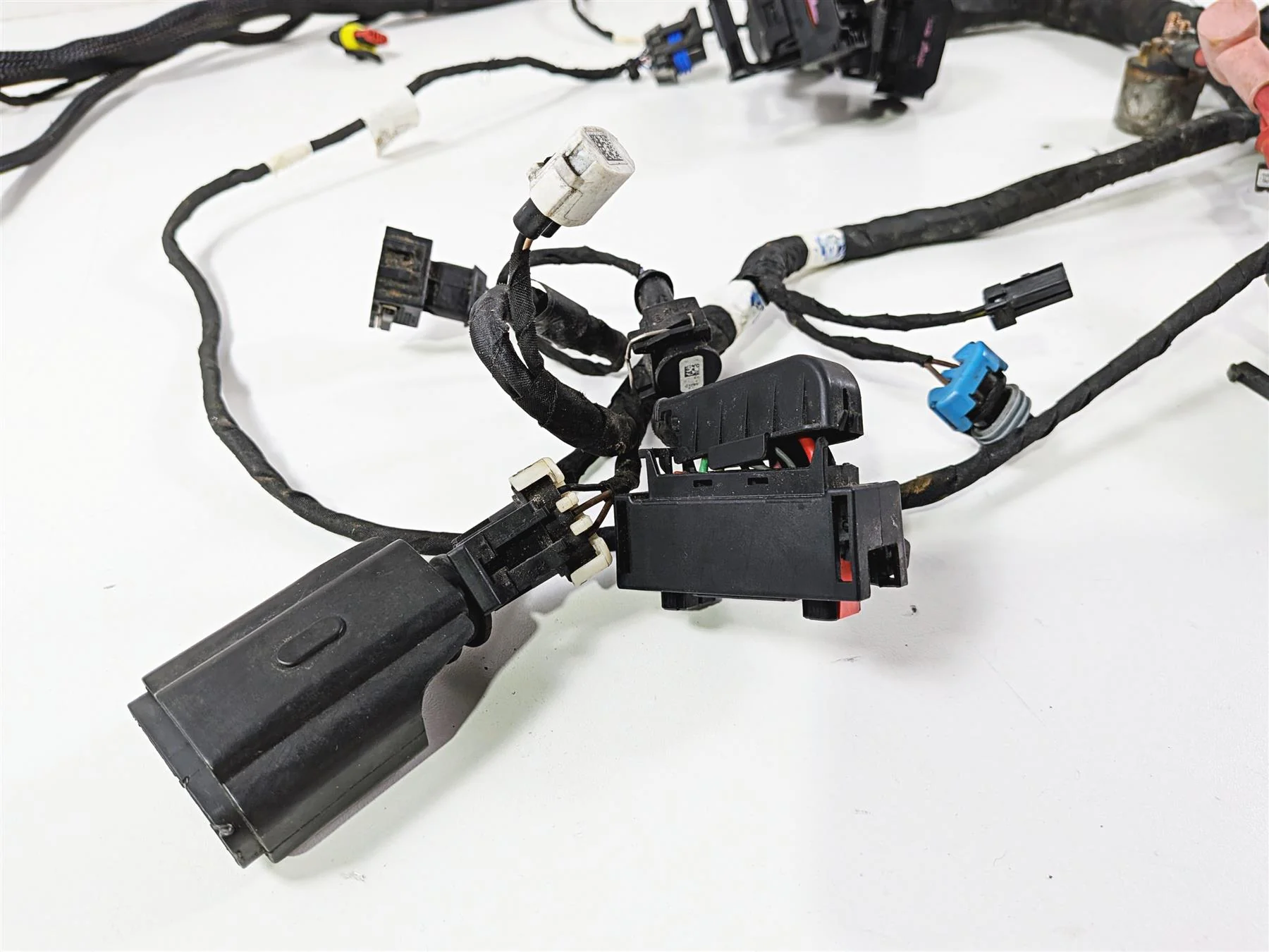 2021 Indian Scout 1200 Wiring Harness Loom No Cuts No Broken Plugs 2415429 - Image 5