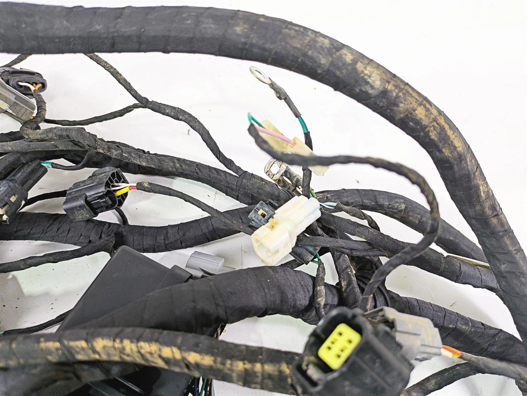 2022 CFMoto Zforce 950 Sport Main Wiring Harness Loom & Coils 5BY0-150100-00001 - Image 12