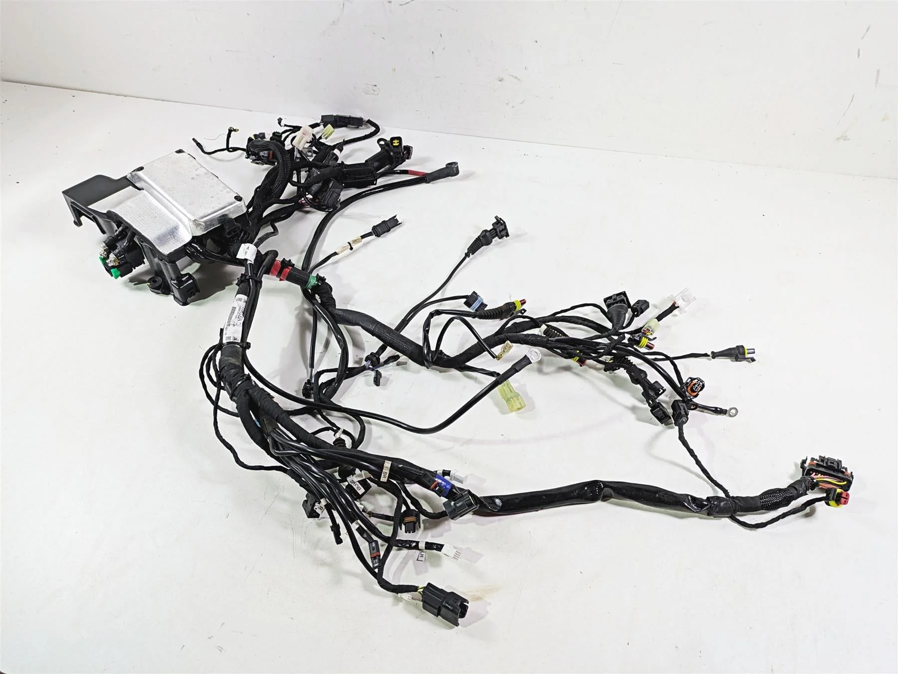 2022 Ducati Scrambler Desert Sled Main Wiring Harness Loom - Read 5101E241C - Image 11