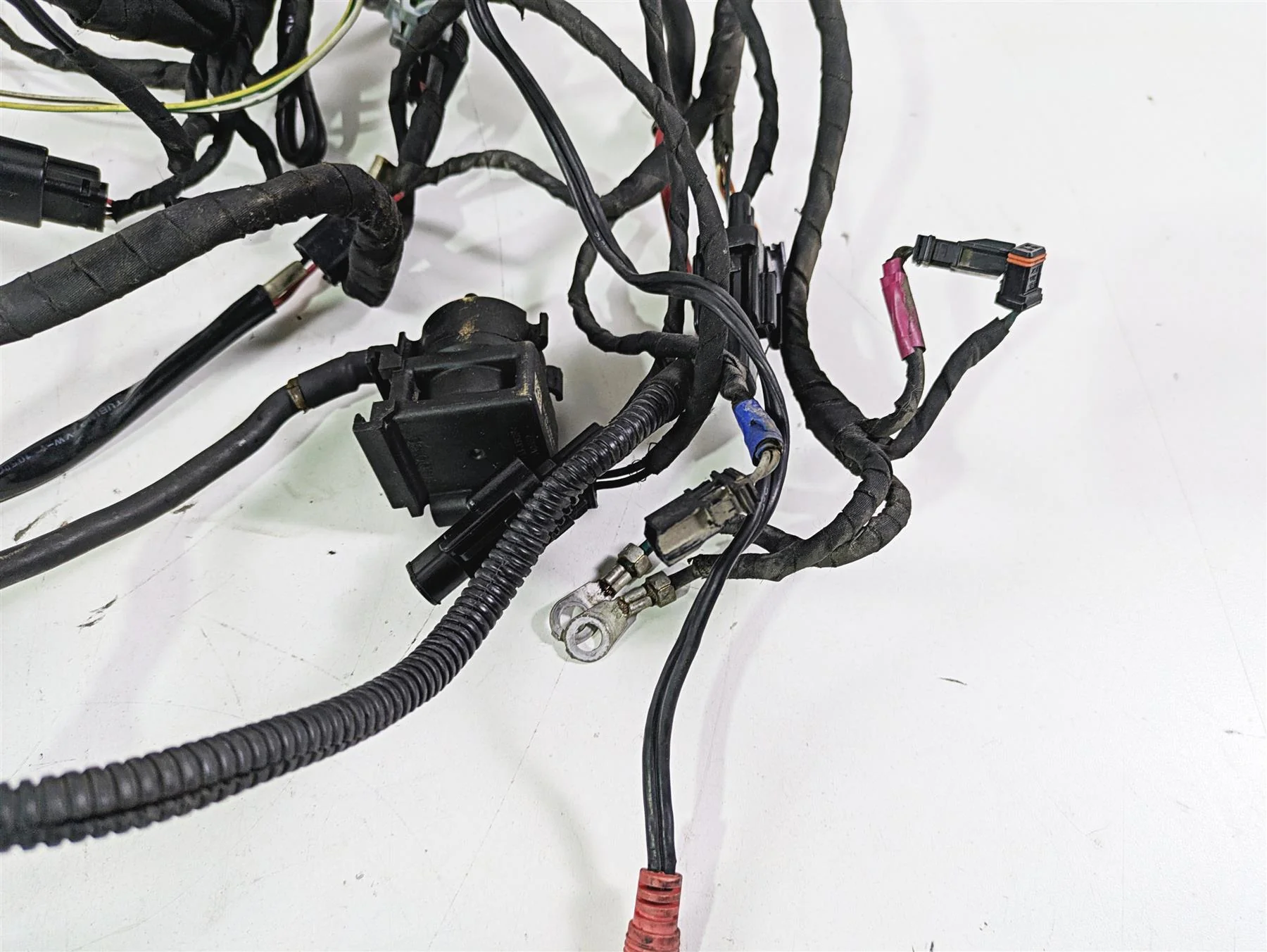 2022 Harley RA1250 S Pan America Wiring Harness Loom - For Parts 69202185 - Image 2